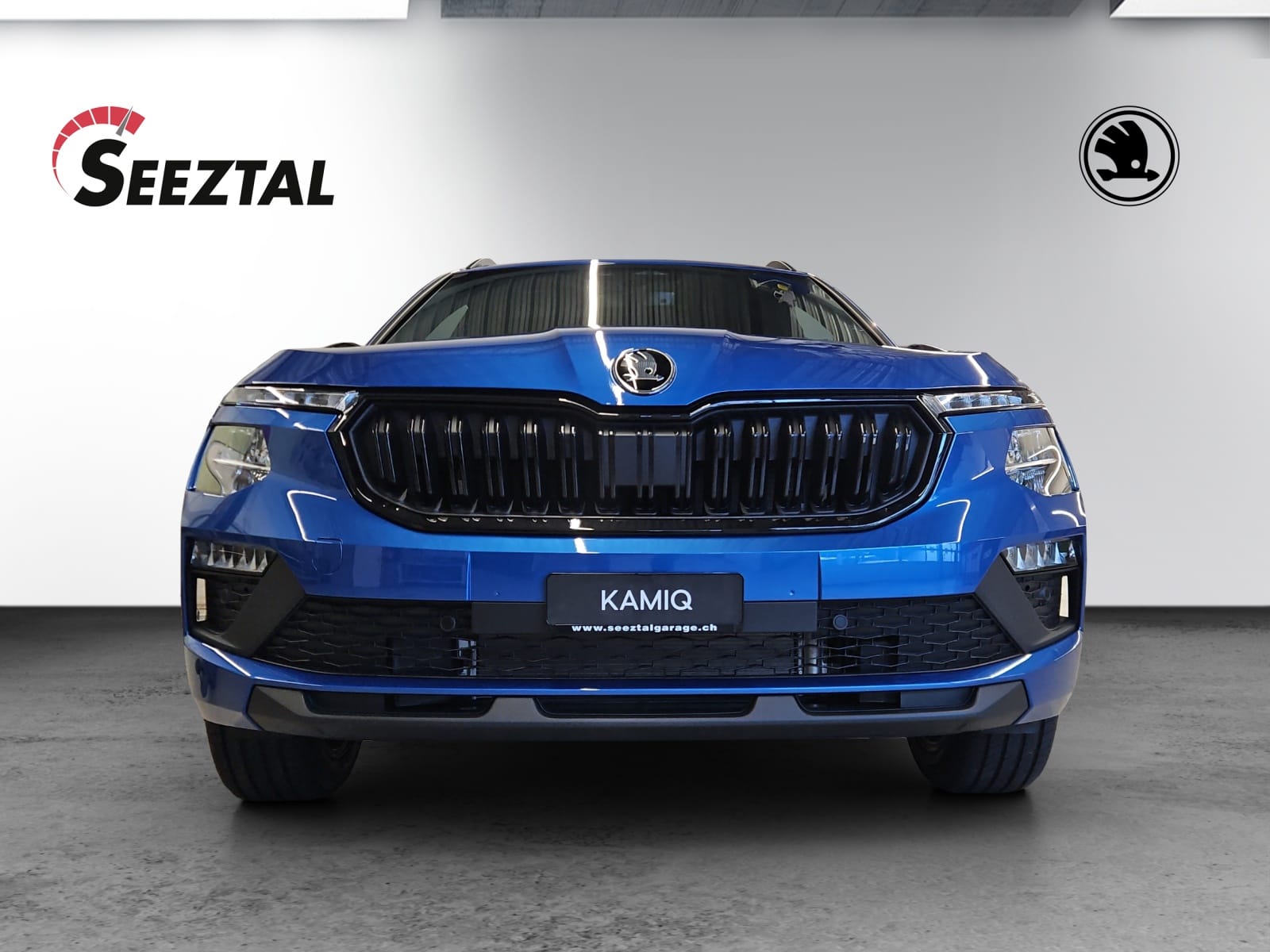 SKODA Skoda Kamiq Dynamic 1.5 TSI-image-2