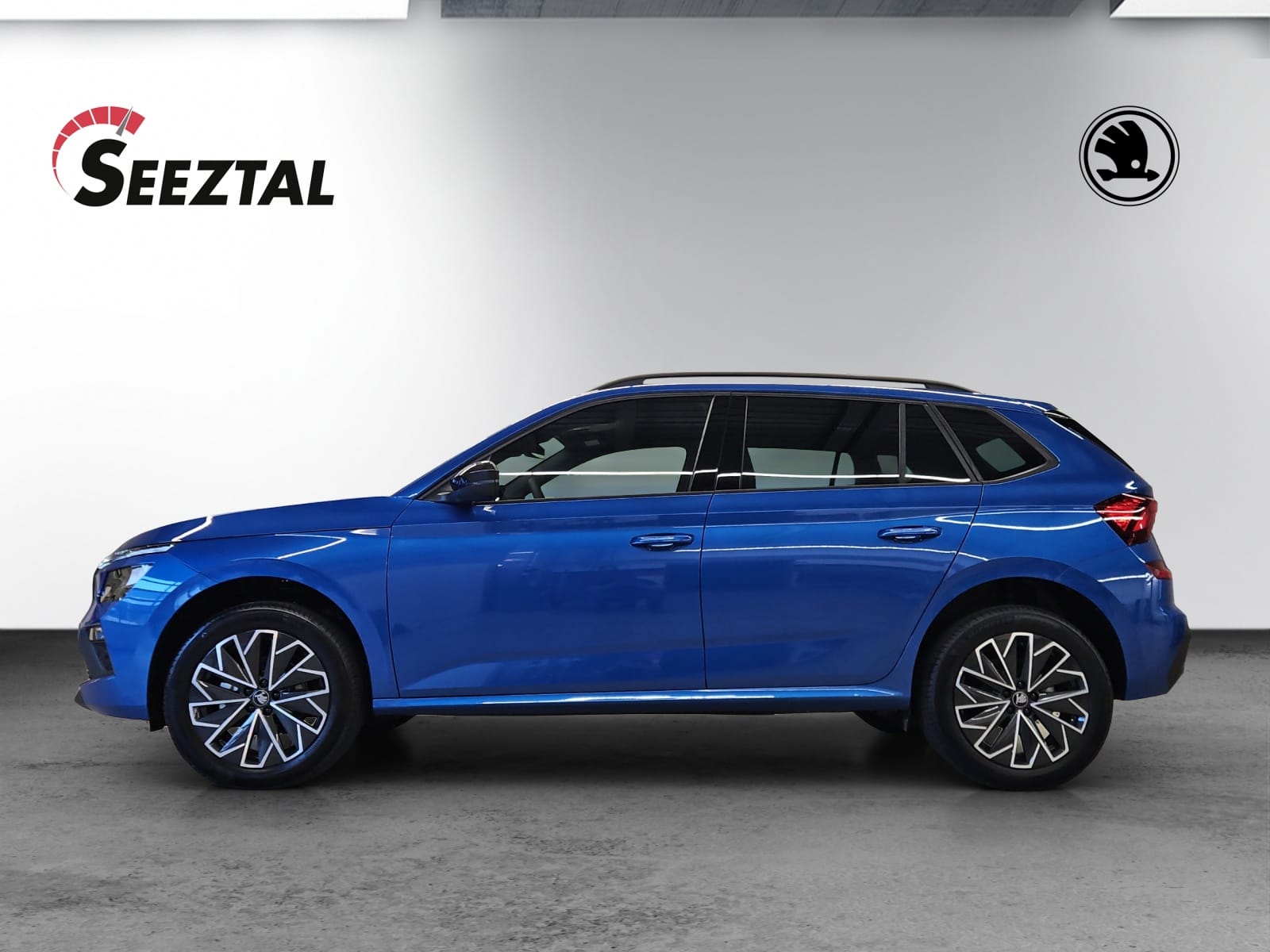SKODA Skoda Kamiq Dynamic 1.5 TSI-image-0