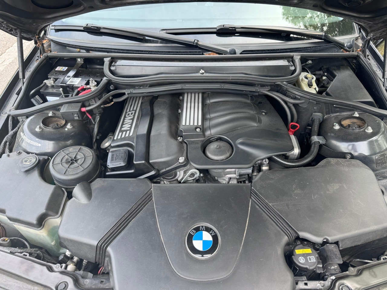 BMW 318i-image-9