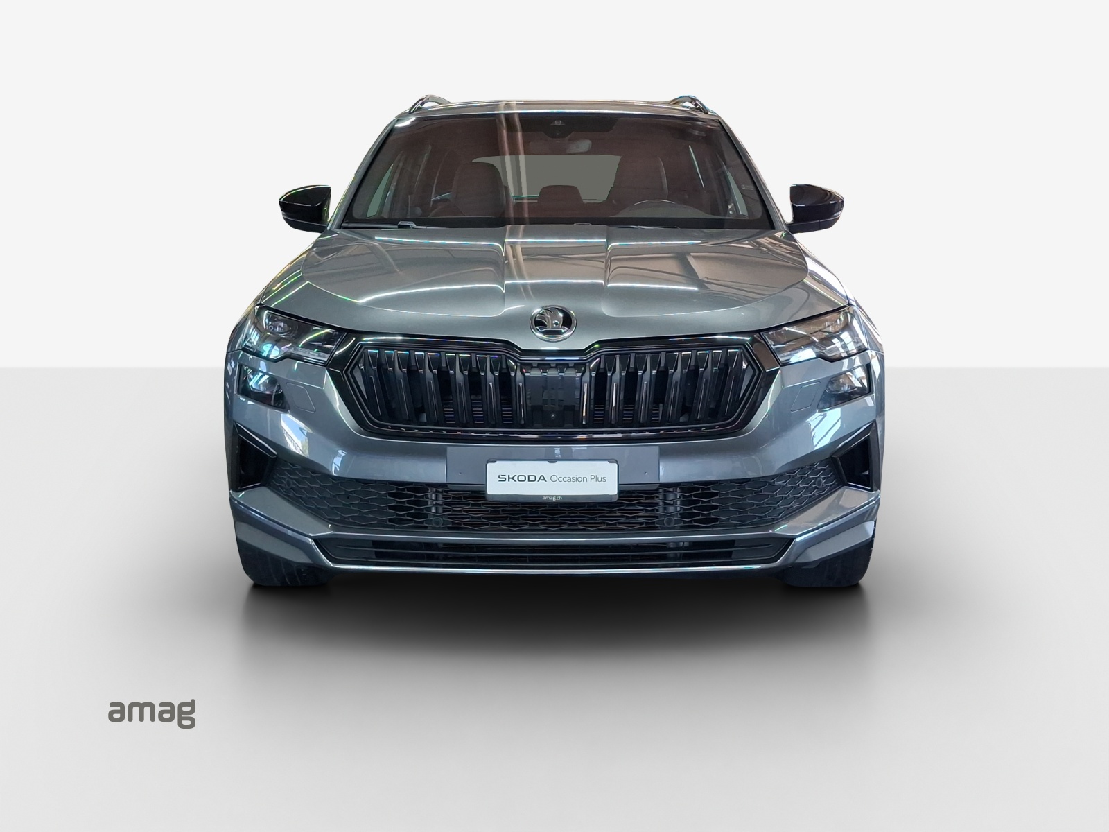 SKODA Karoq 1.5 TSI SportLine DSG-image-6