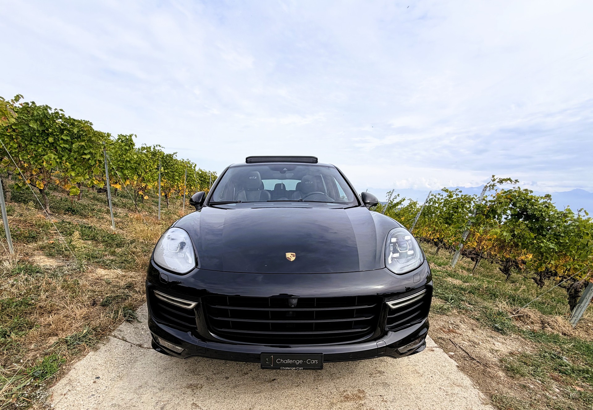 PORSCHE Cayenne GTS-image-2