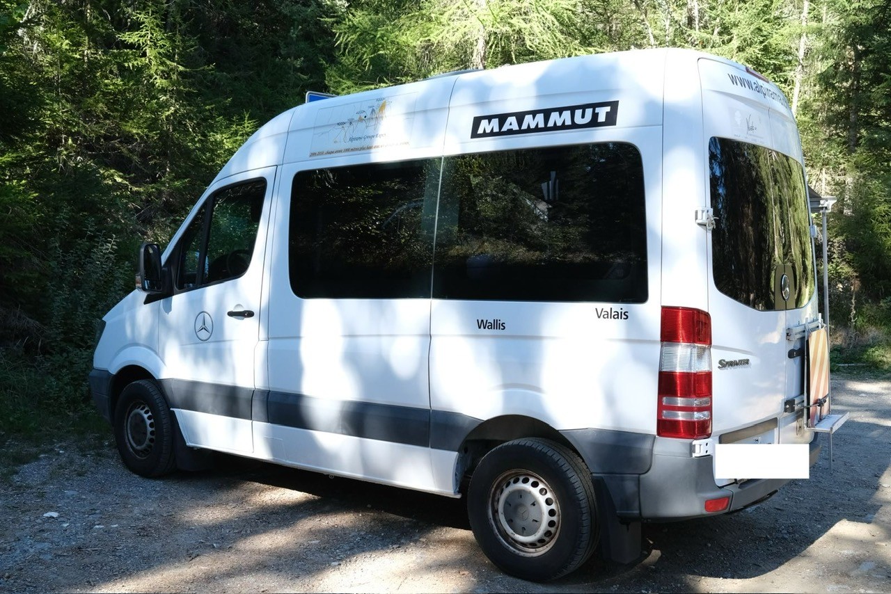 MERCEDES-BENZ 315 CDI-image-2