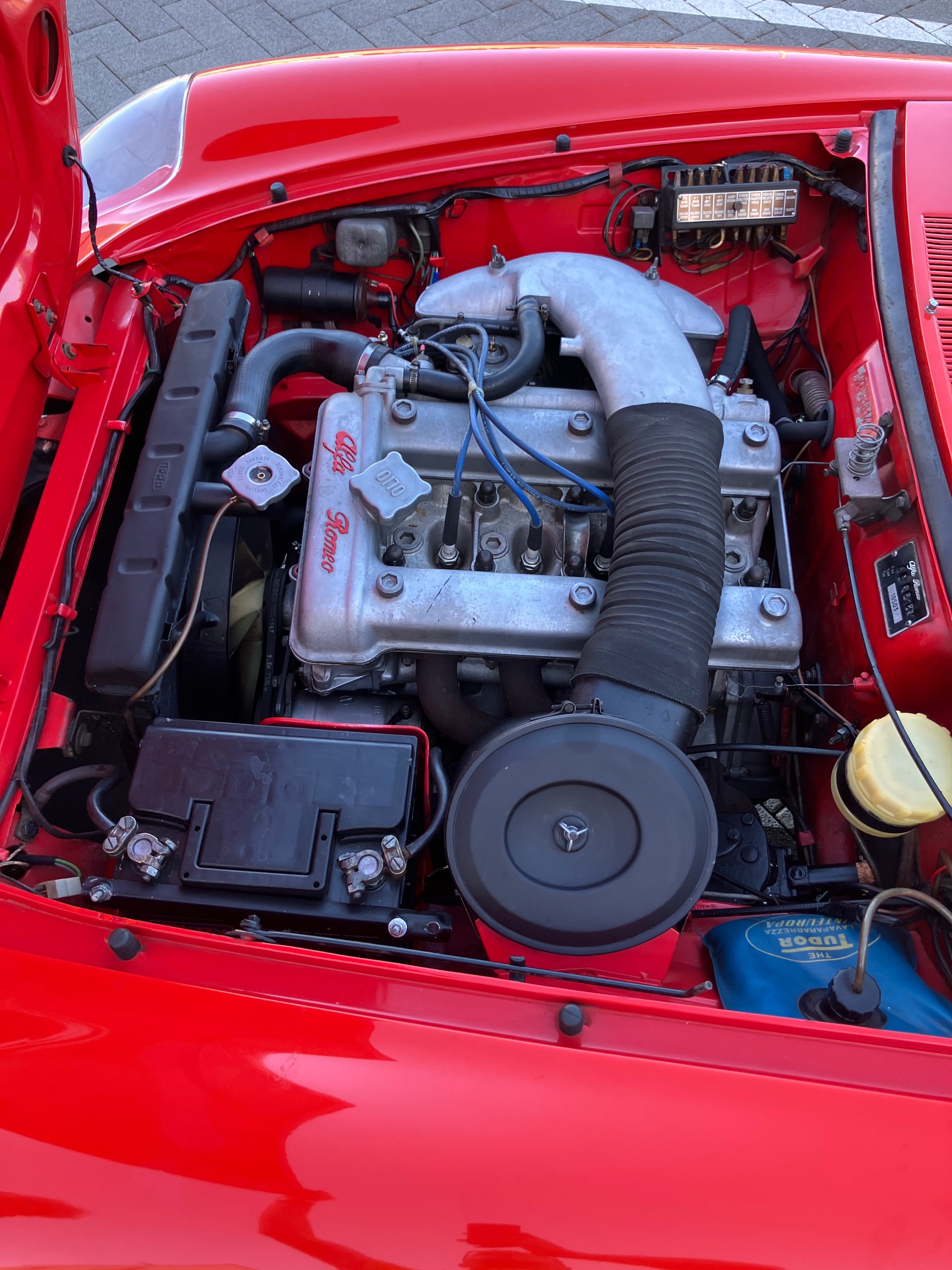 ALFA ROMEO SPIDER 1600 Duetto Osso di seppia-image-7
