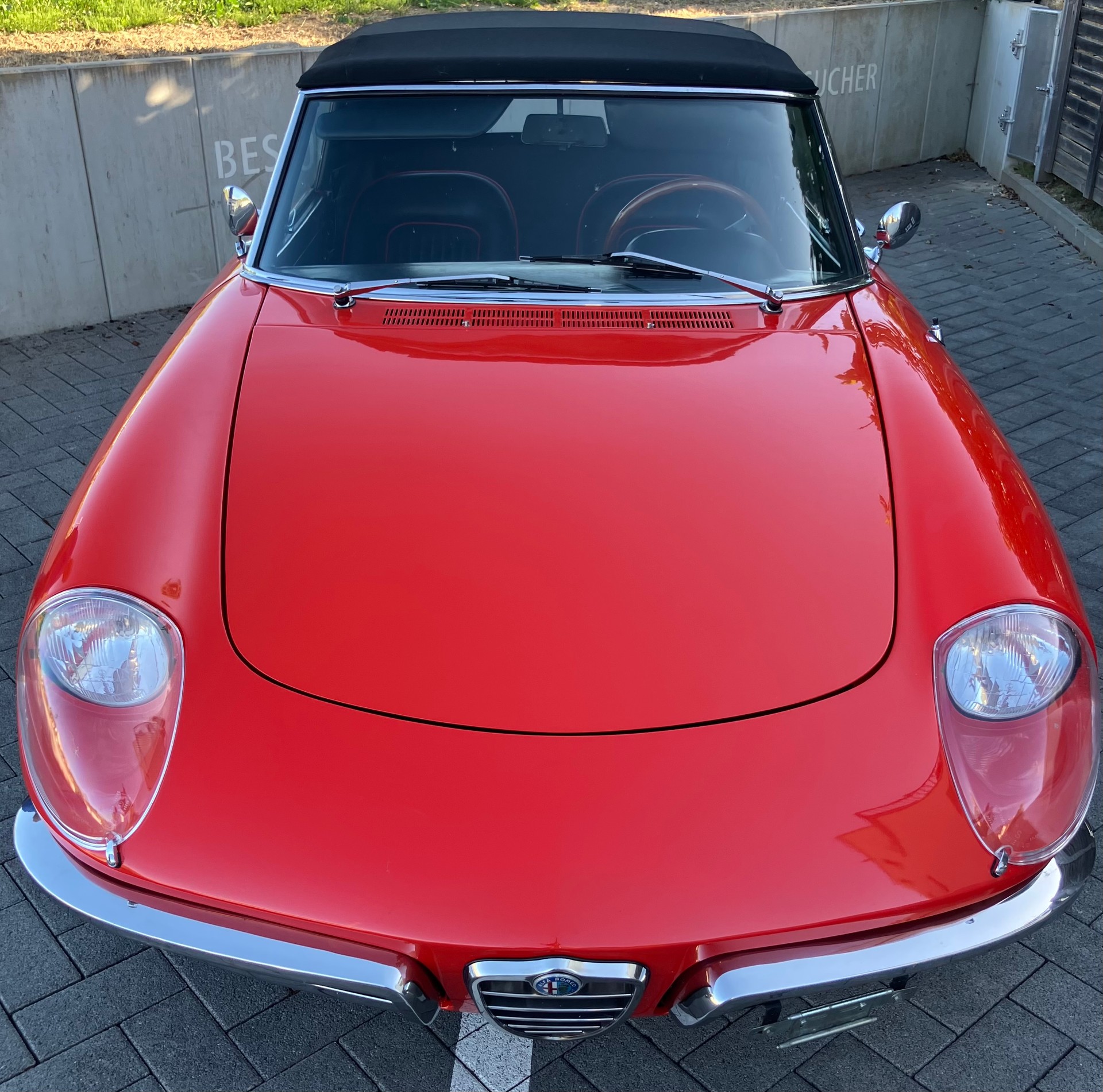 ALFA ROMEO SPIDER 1600 Duetto Osso di seppia-image-3