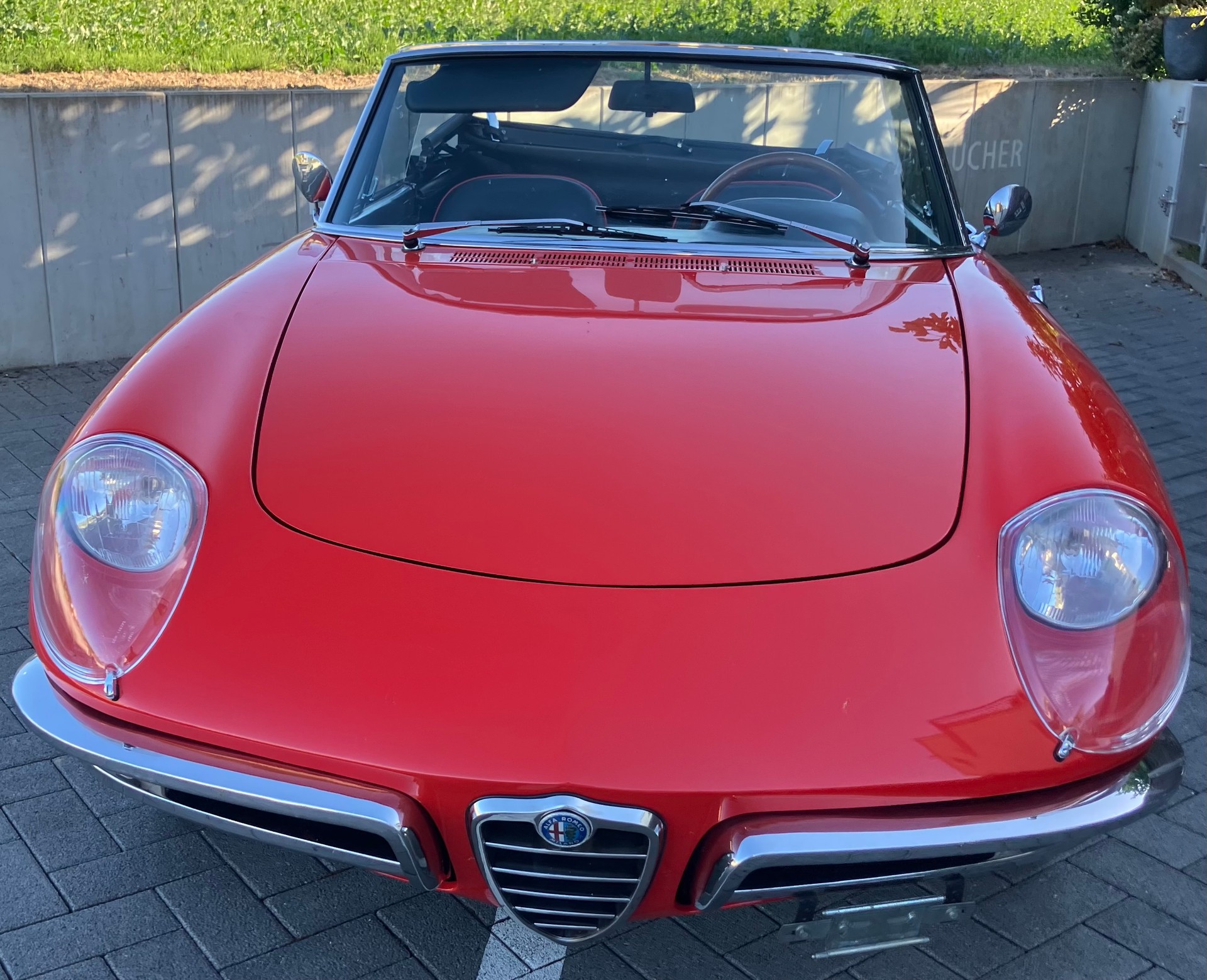 ALFA ROMEO SPIDER 1600 Duetto Osso di seppia-image-0