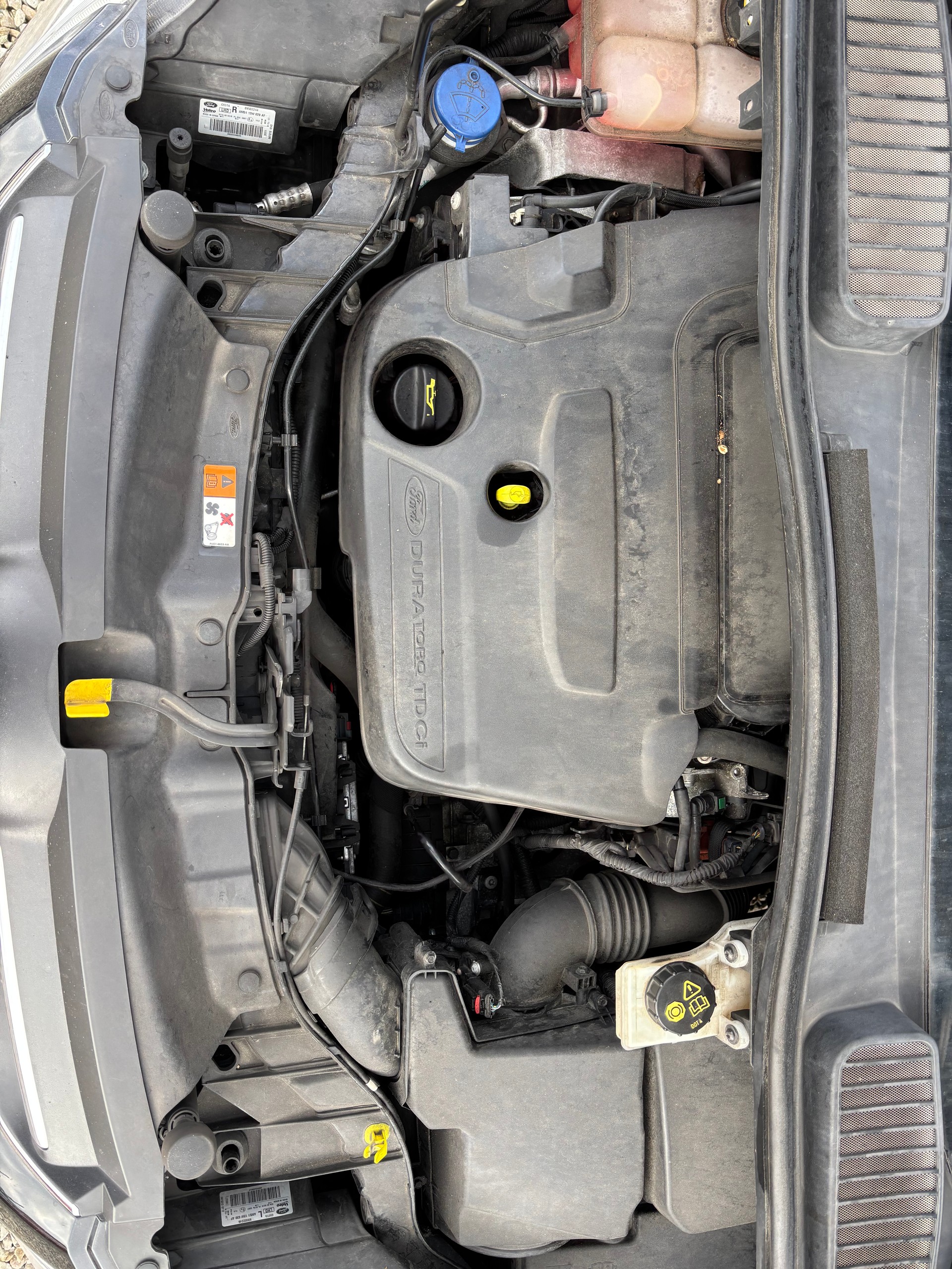 FORD Grand C-MAX-image-15