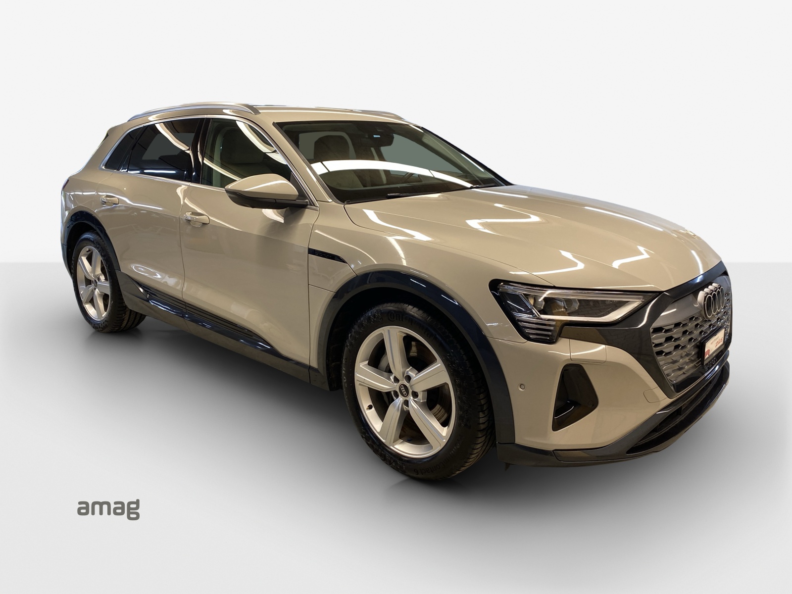 AUDI Q8 55 e-tron advanced quattro-image-6