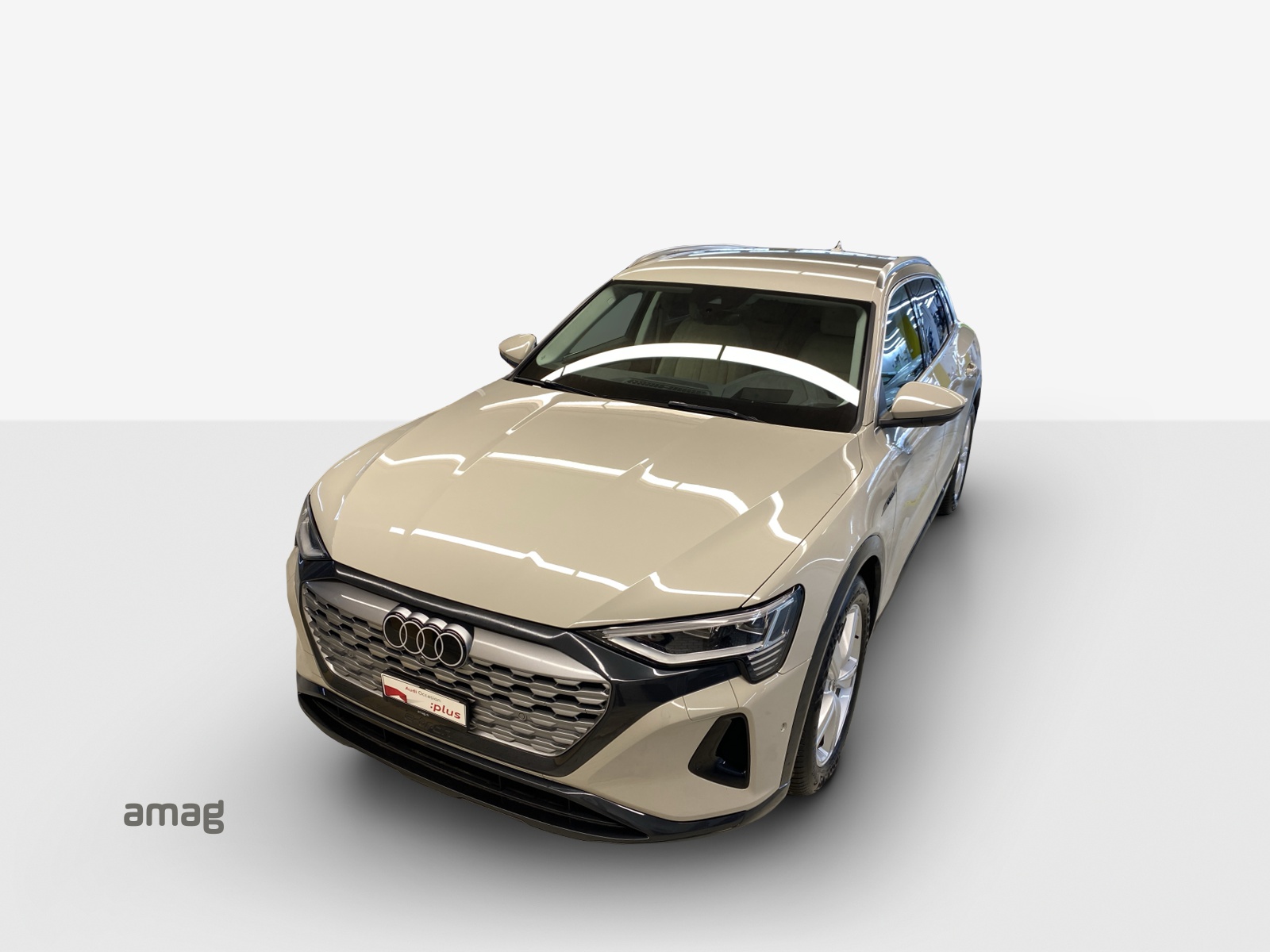 AUDI Q8 55 e-tron advanced quattro-image-16