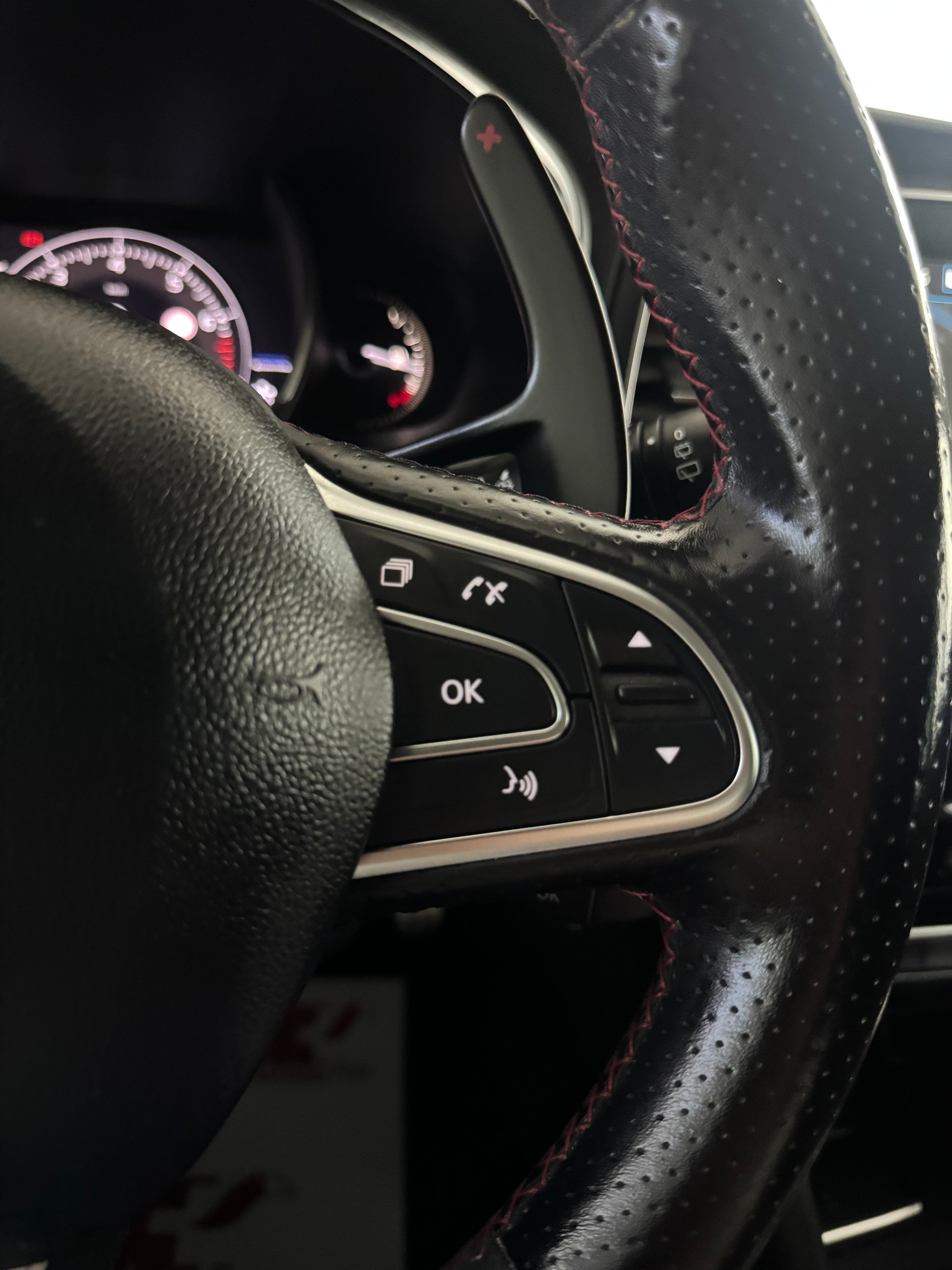 RENAULT Mégane Trophy 300 EDC*CH-Fahrzeug*Panoramadach*Frisch MFK*-image-14