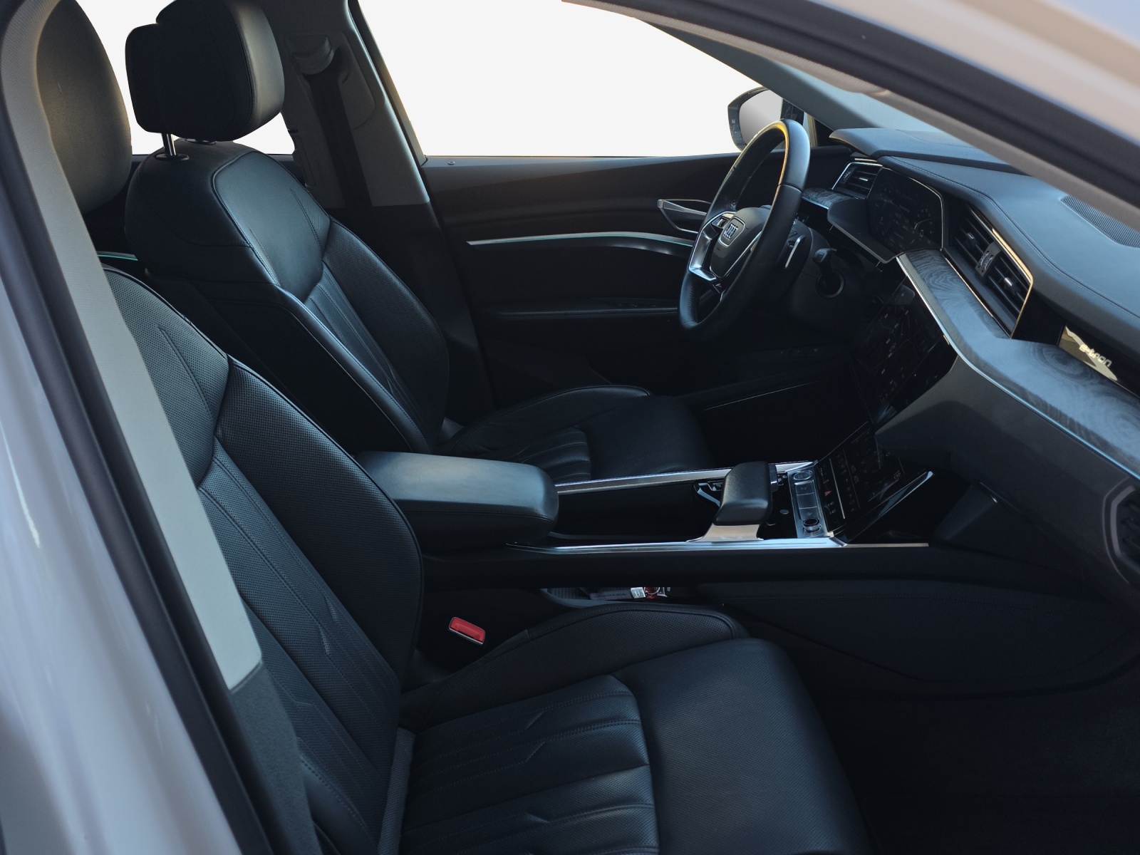 AUDI e-tron 55 Advanced quattro-image-14