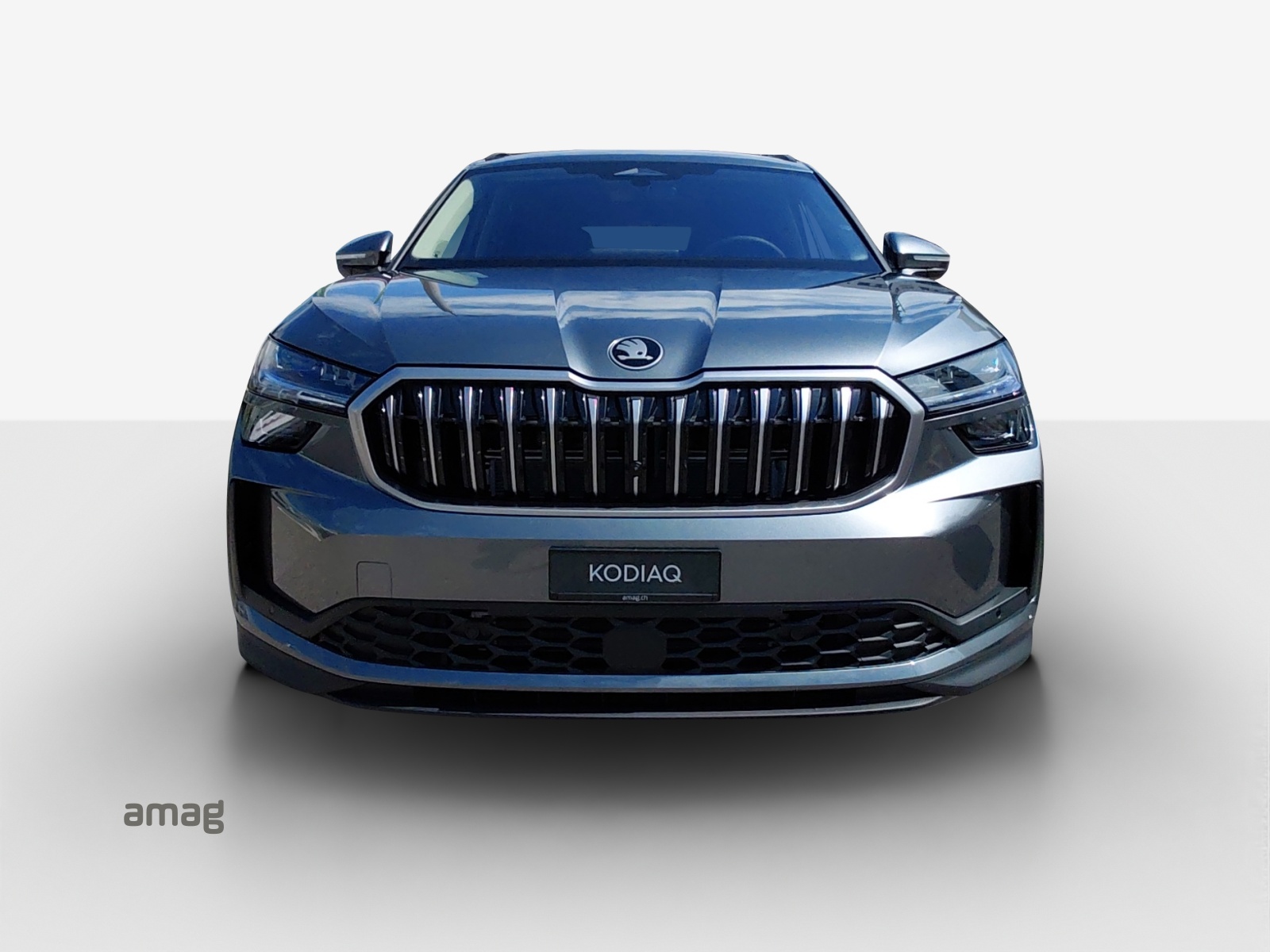 SKODA Kodiaq 2.0 TSI Selection 4x4-image-6