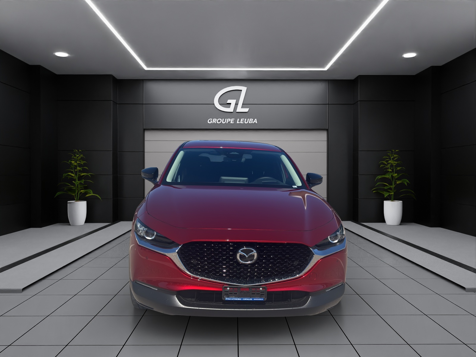 Image MAZDA CX-30 CX-30 SKYACTIV-X 186 M Hybrid Homura AWD AT
