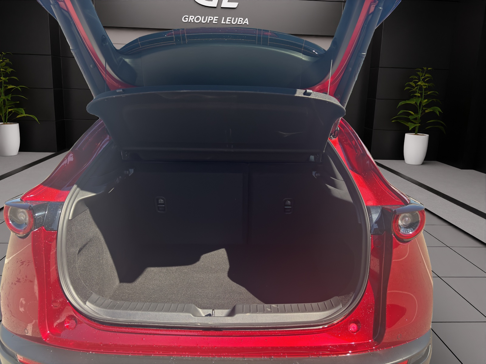 Image MAZDA CX-30 CX-30 SKYACTIV-X 186 M Hybrid Homura AWD AT
