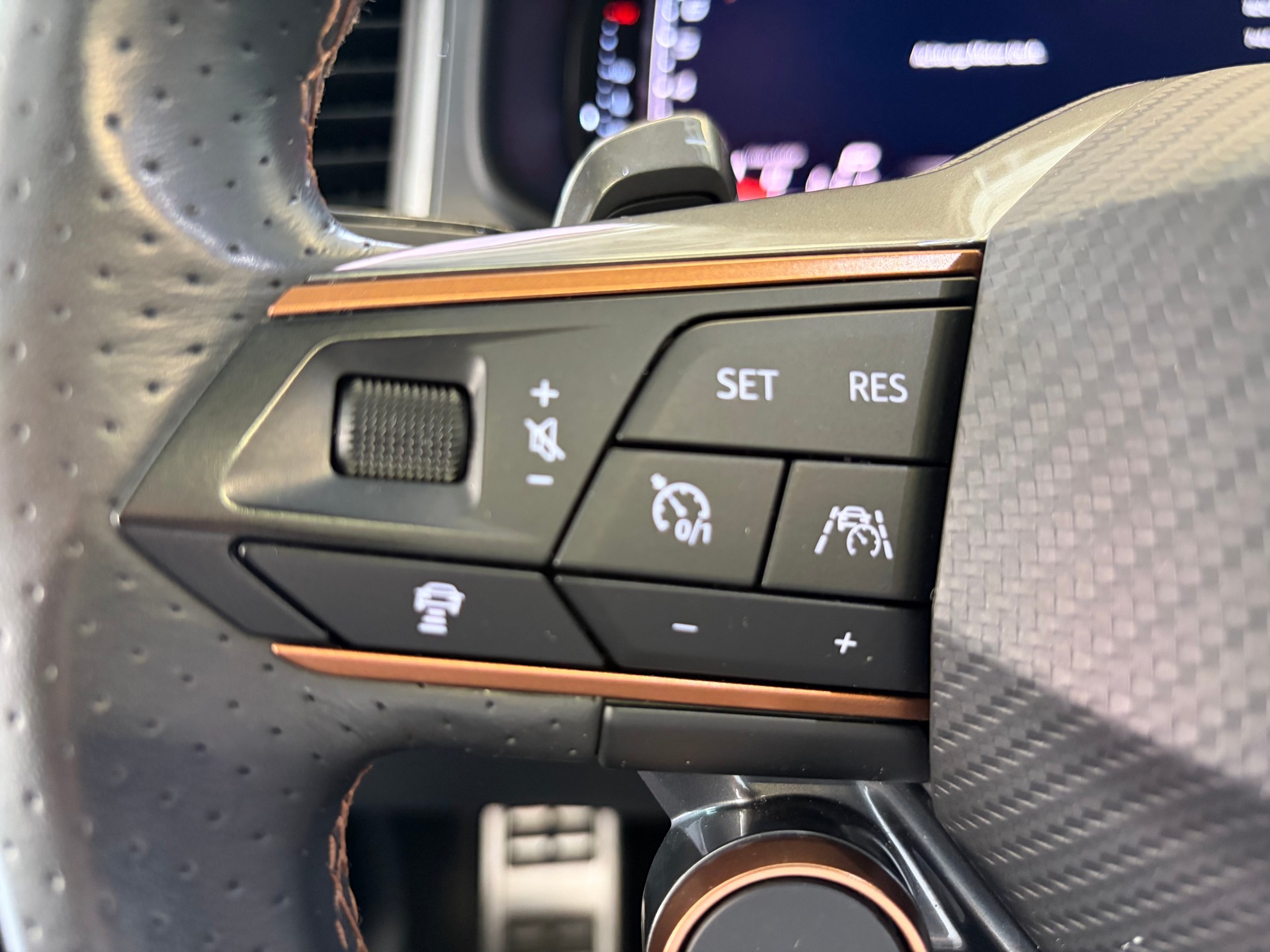 CUPRA Ateca 2.0TSI 4Drive DSG | AHK | PANORAMA | BeatsAudio Sound |-image-19