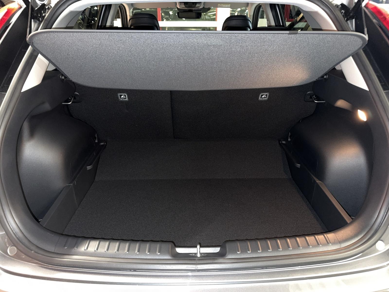 KIA Niro EV Edition 30-image-6