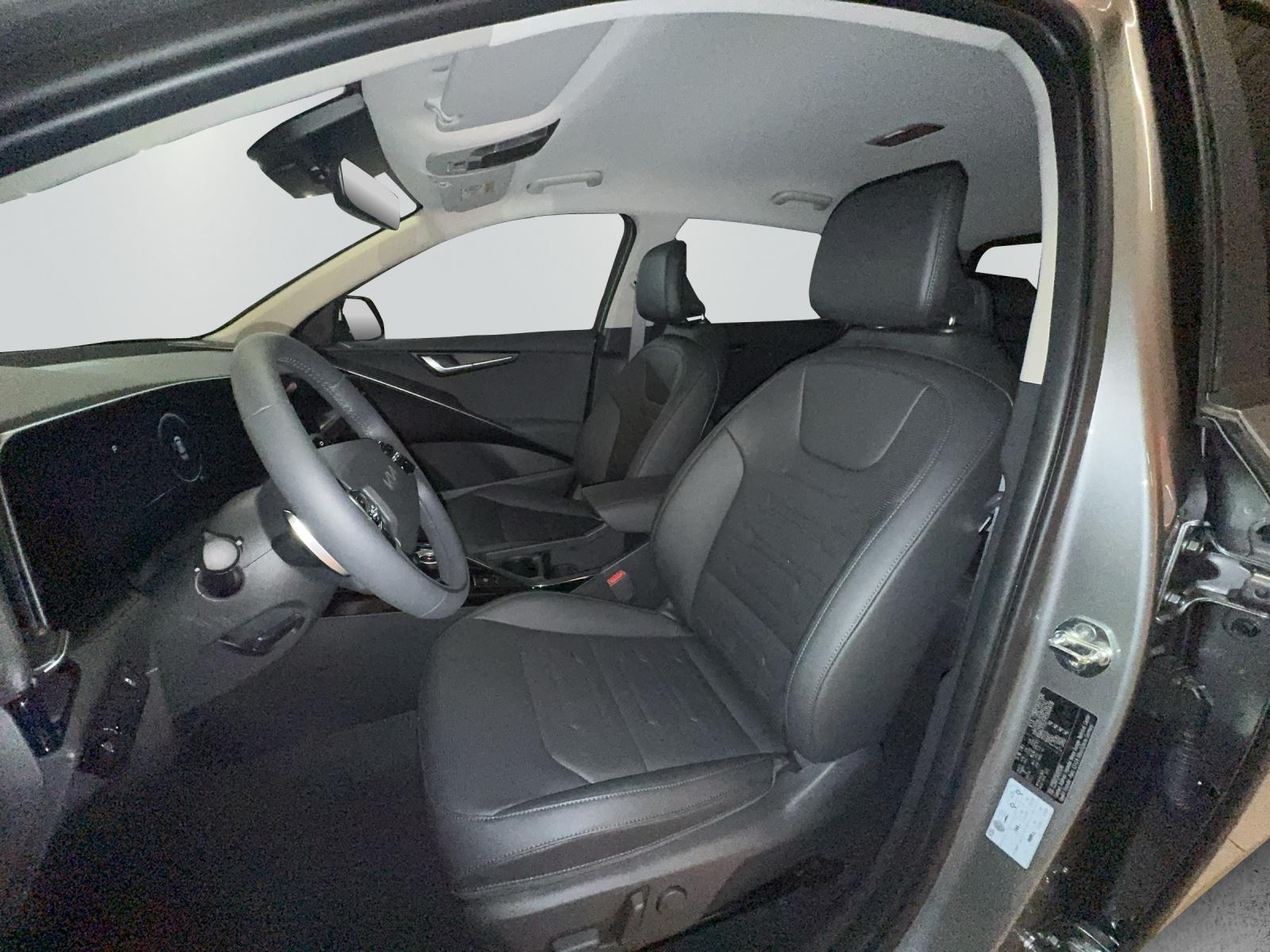 KIA Niro EV Edition 30-image-7