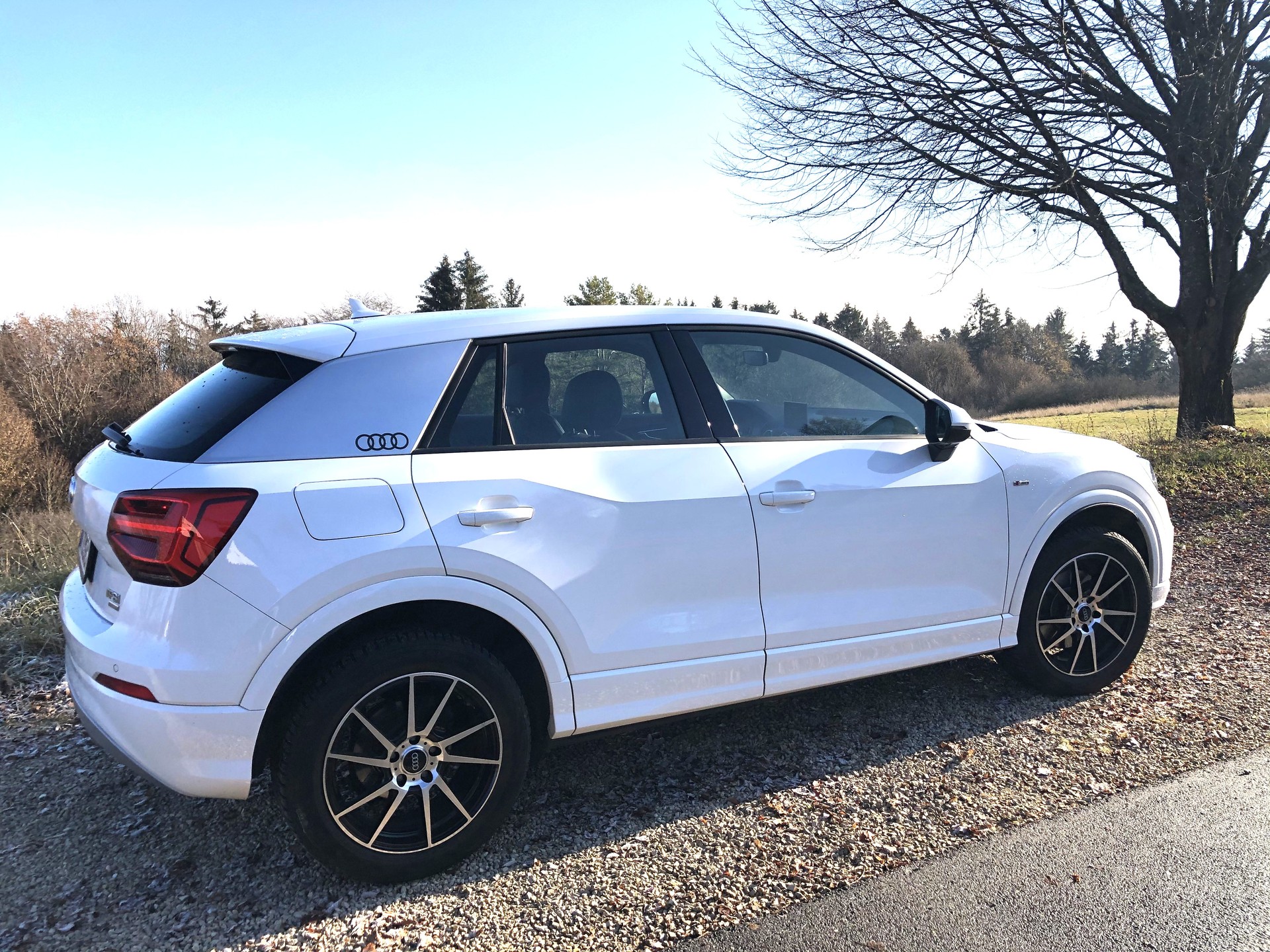 AUDI Q2 TFSI ultra S line | 1. Hand | Frisch MFK 07/2026 | 8-fach Alus-image-1