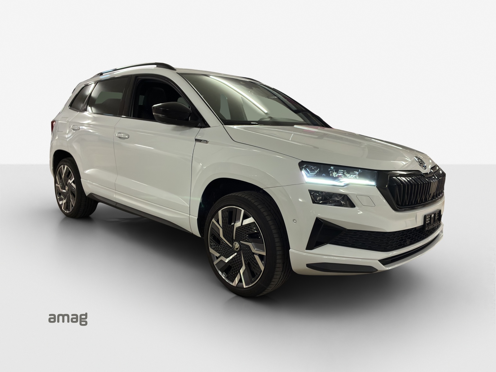 SKODA Karoq 2.0 TSI SportLine 4x4 DSG-image-5