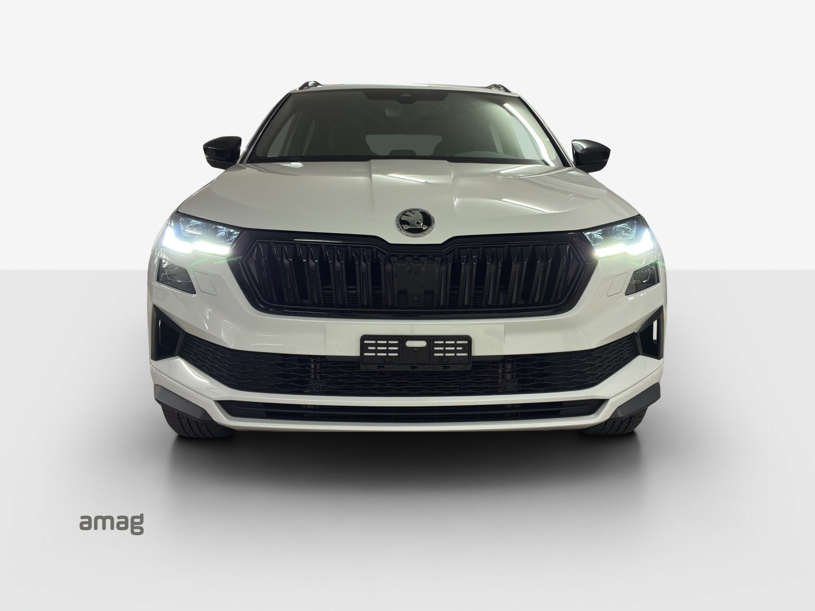 SKODA Karoq 2.0 TSI SportLine 4x4 DSG-image-6
