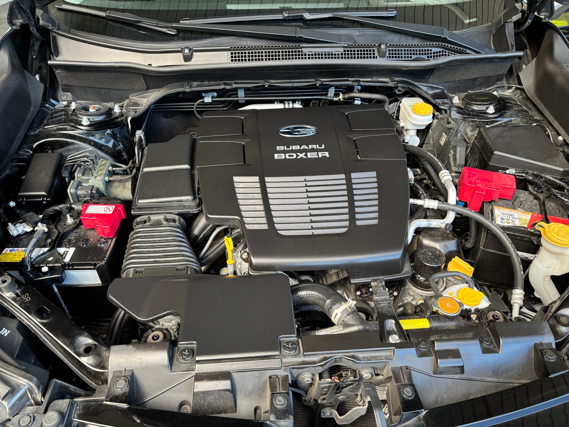 SUBARU Forester 2.0i e-Boxer Luxury Lineartronic-image-14