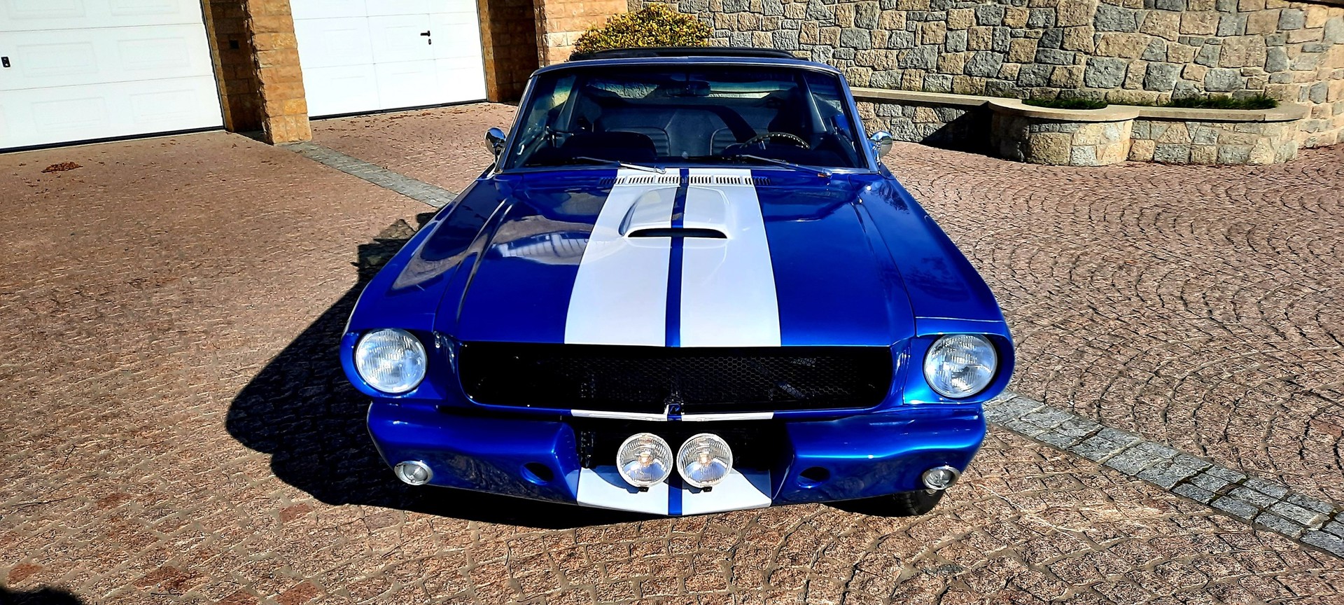 FORD MUSTANG Shelby 350 GT V8 390CV-image-1
