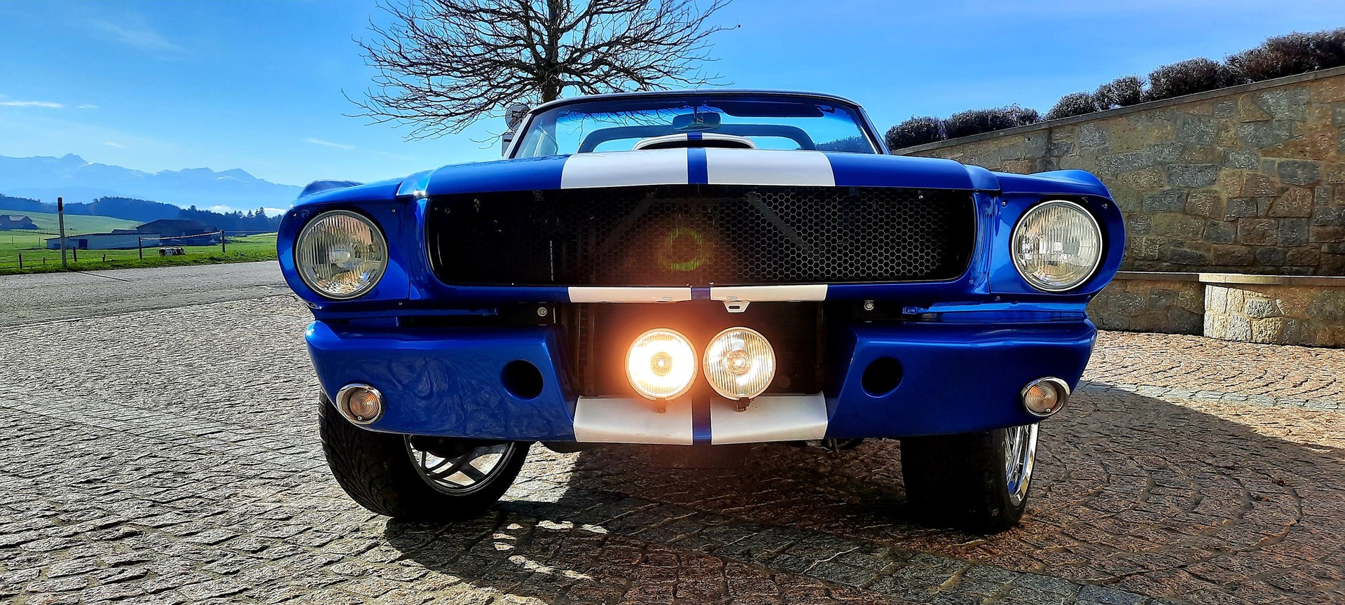 FORD MUSTANG Shelby 350 GT V8 390CV-image-0
