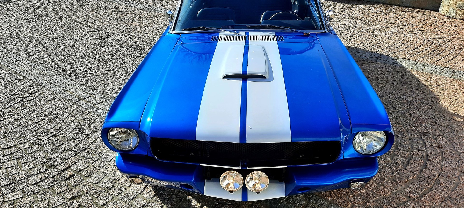 FORD MUSTANG Shelby 350 GT V8 390CV-image-14