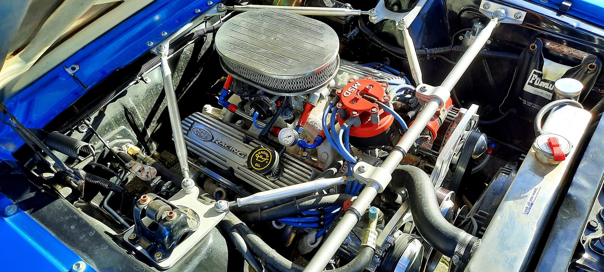 FORD MUSTANG Shelby 350 GT V8 390CV-image-17