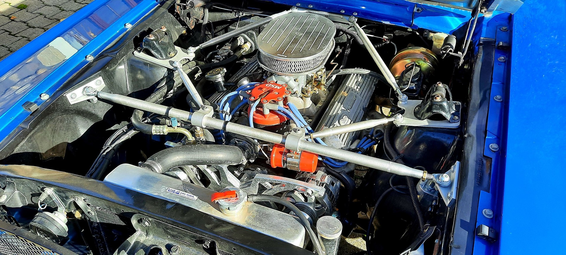 FORD MUSTANG Shelby 350 GT V8 390CV-image-4