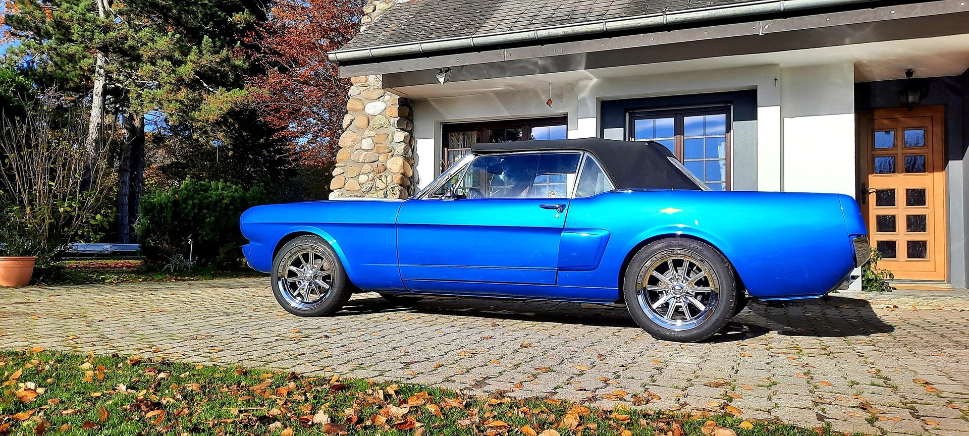 FORD MUSTANG Shelby 350 GT V8 390CV-image-5
