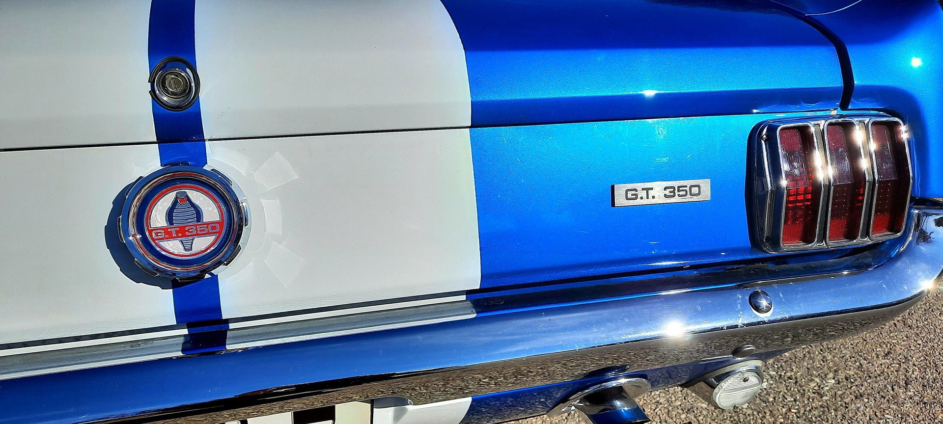 FORD MUSTANG Shelby 350 GT V8 390CV-image-7