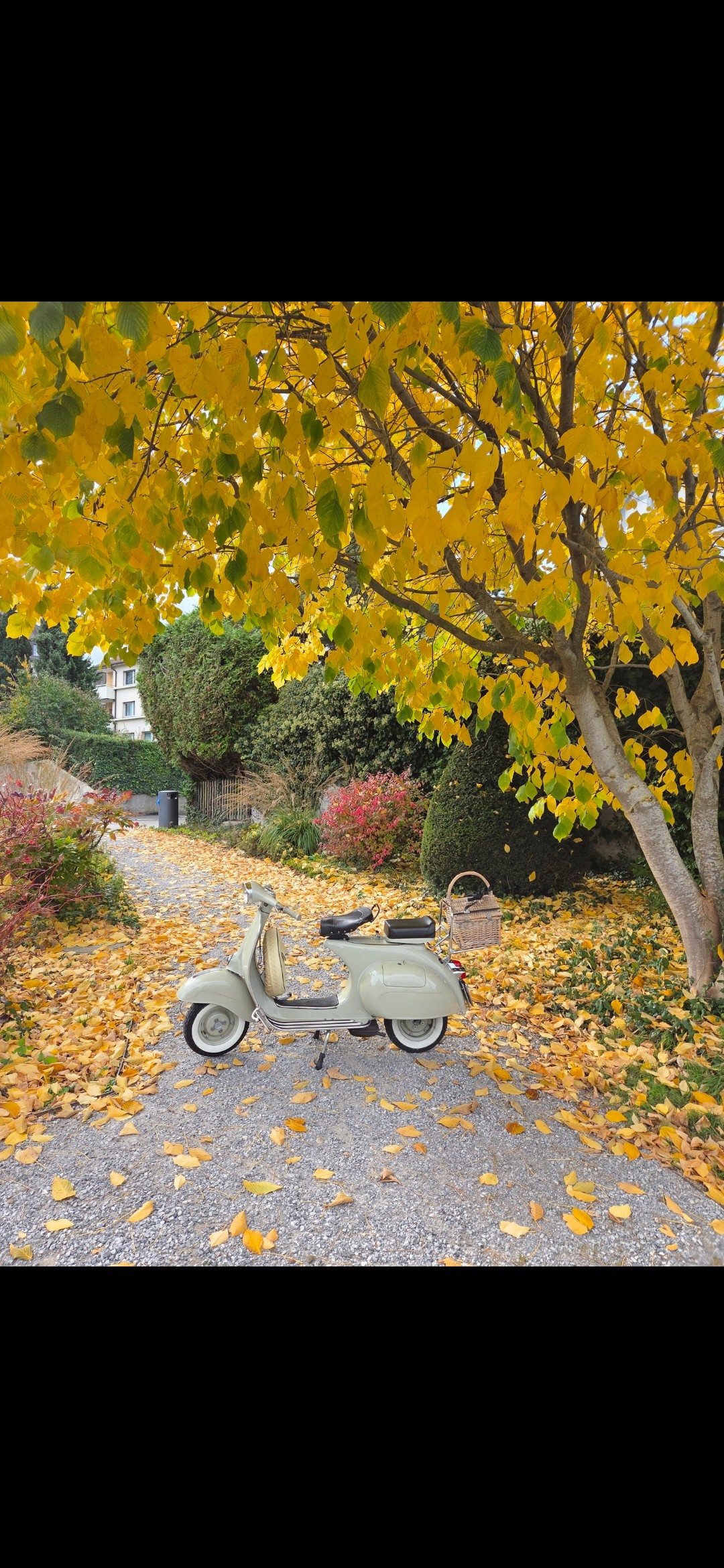 PIAGGIO Vespa 150 VBB 1T-image-6