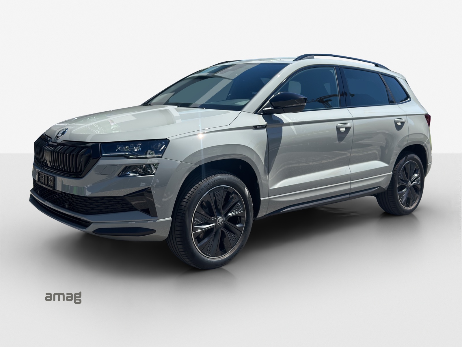 SKODA Karoq 2.0 TSI Dynamic Limited Edition 4x4 DSG