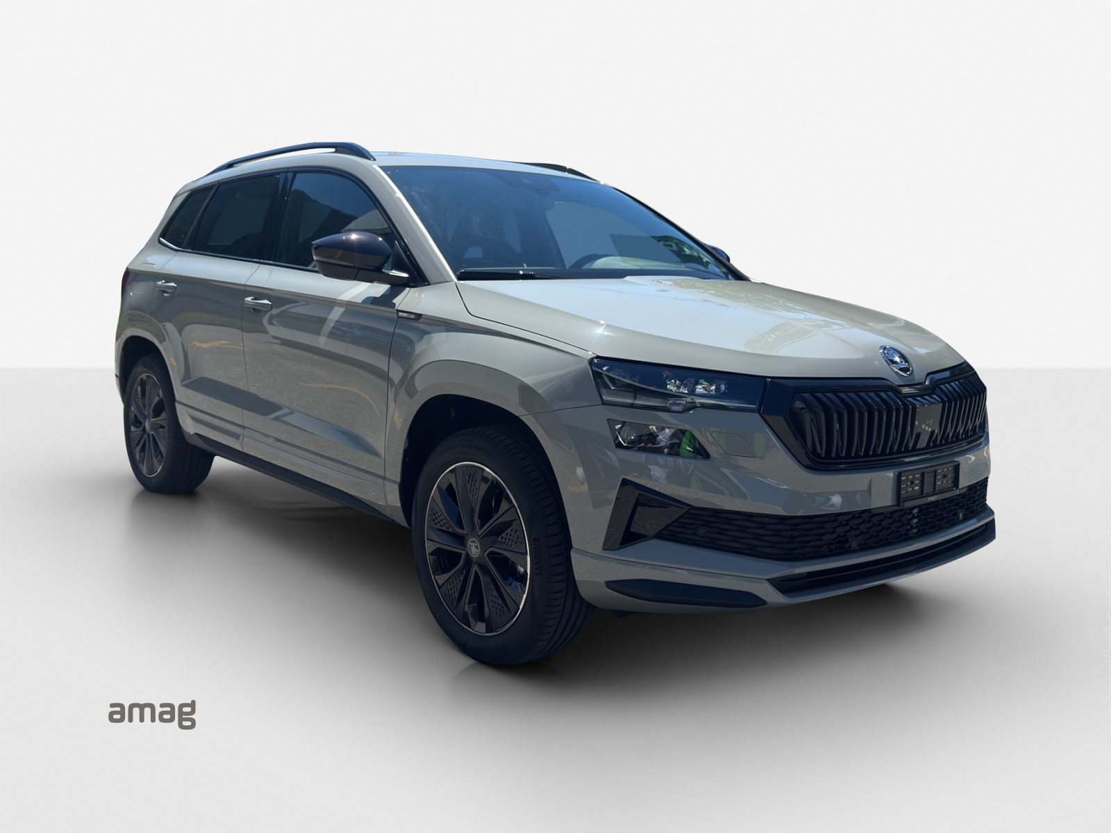 SKODA Karoq 2.0 TSI Dynamic Limited Edition 4x4 DSG-image-5
