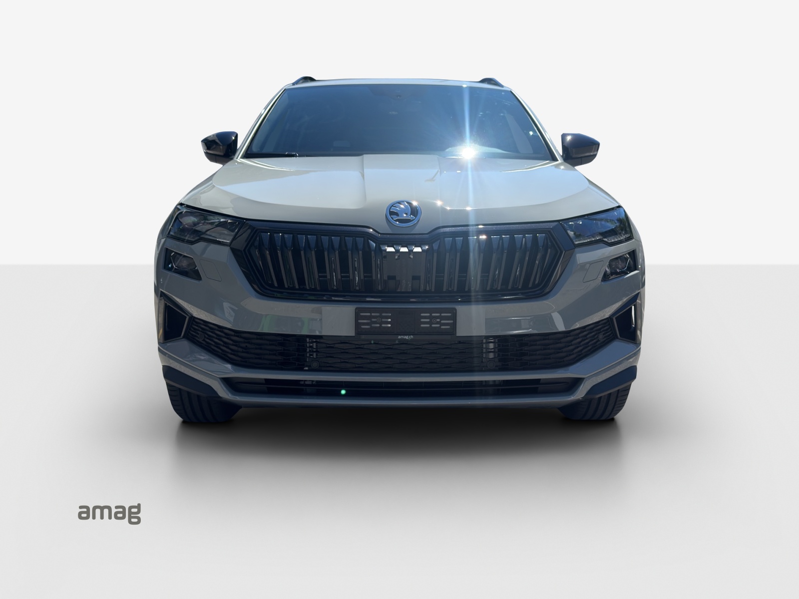 SKODA Karoq 2.0 TSI Dynamic Limited Edition 4x4 DSG-image-6