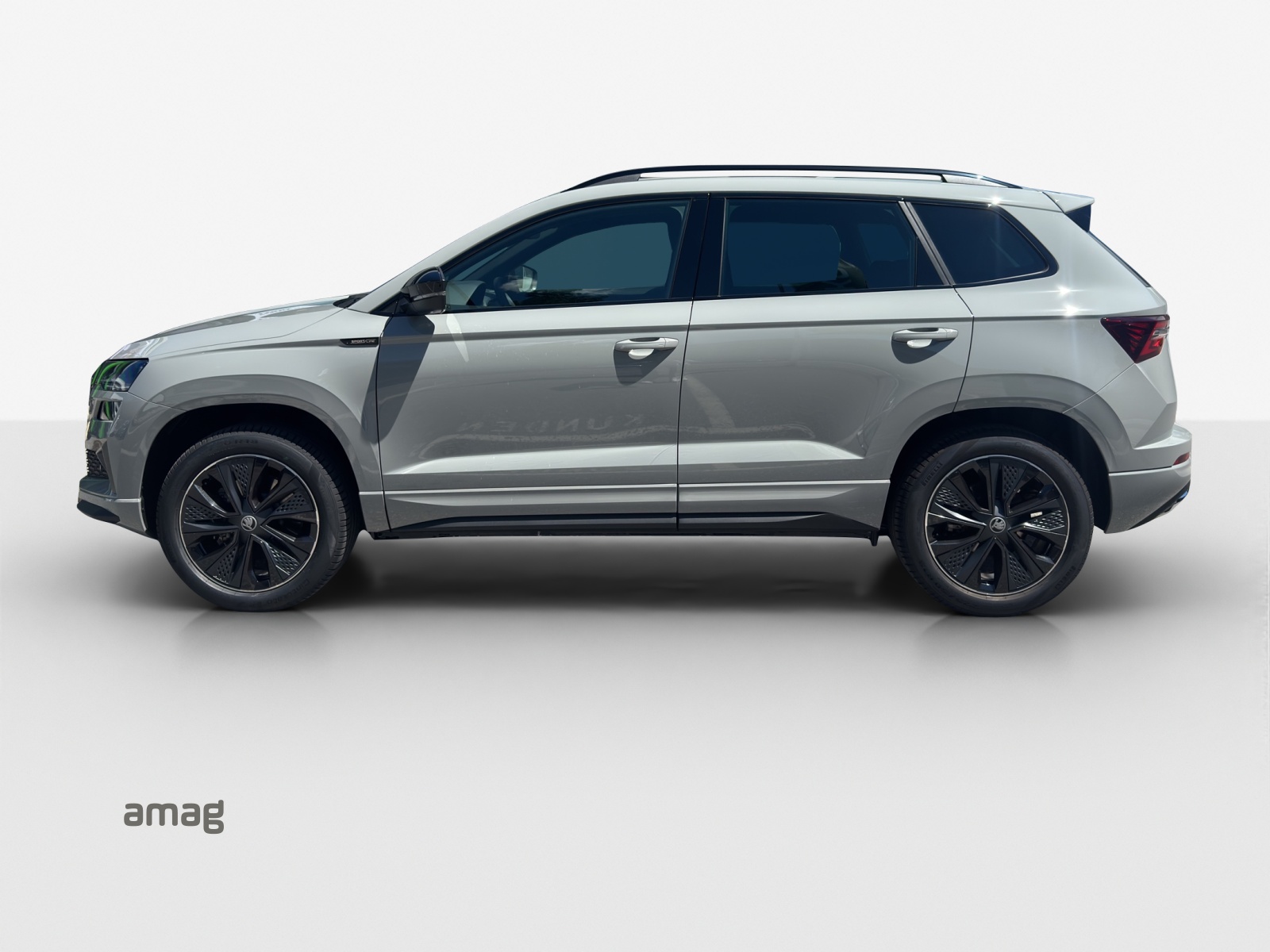 SKODA Karoq 2.0 TSI Dynamic Limited Edition 4x4 DSG-showroom-element-1