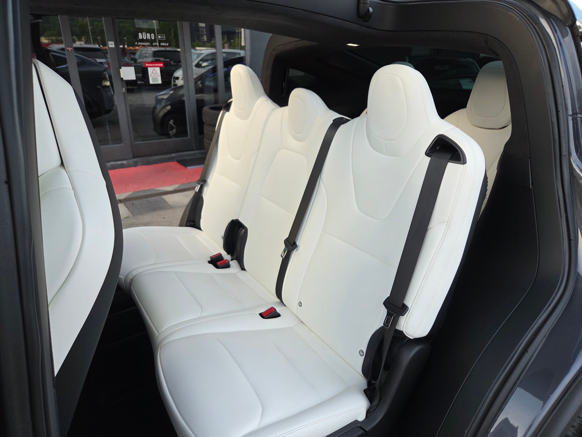 TESLA Model X 100 D-image-15