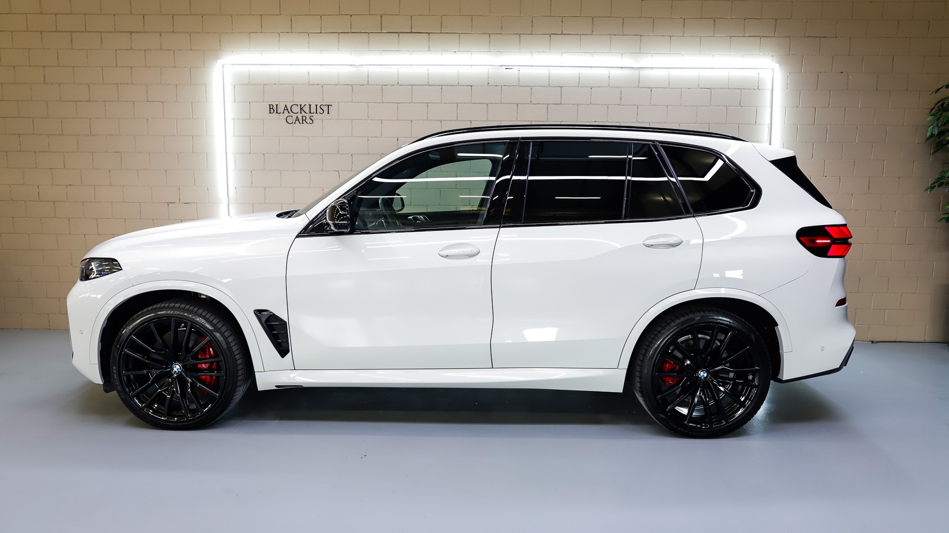 BMW X5 xDrive 48V M60i M Sport Pro Steptronic-image-3