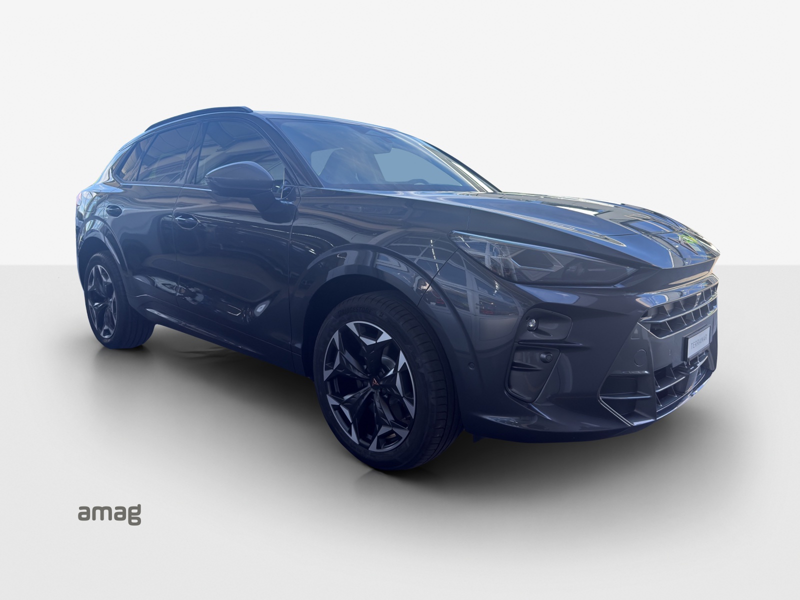 CUPRA Terramar 2.0 TSI DSG 4Drive VZ-image-5