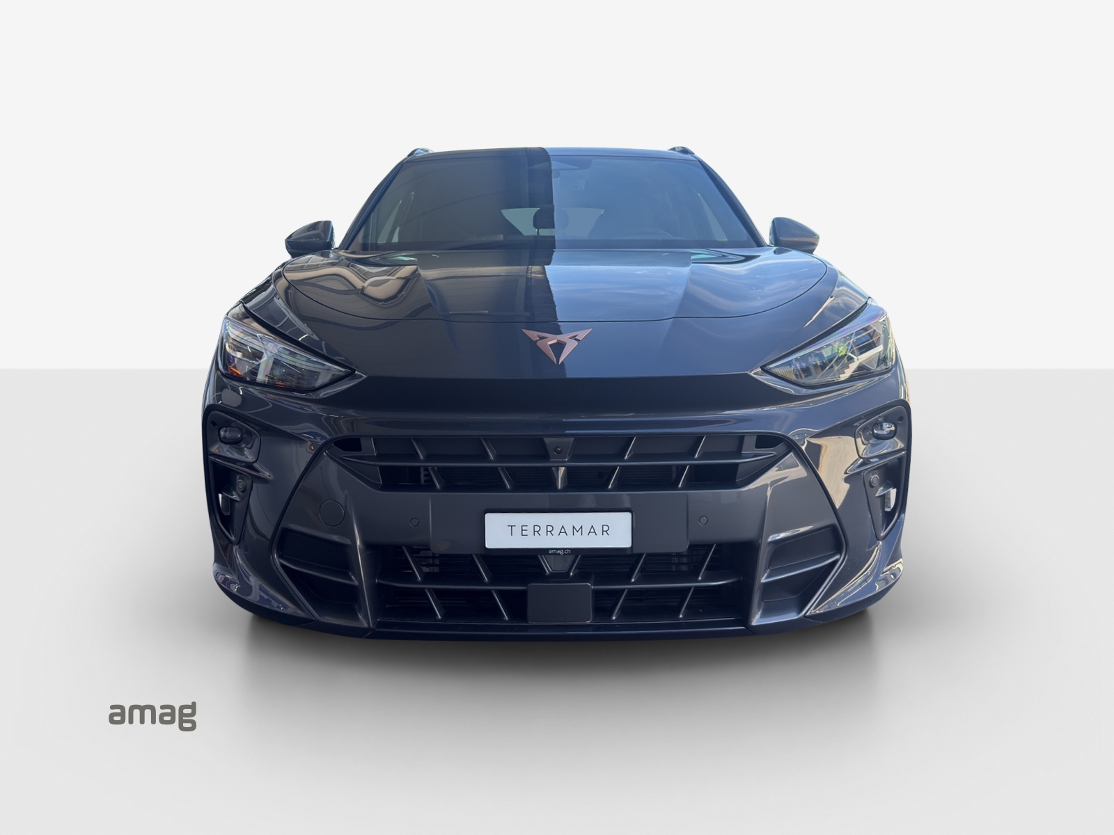 CUPRA Terramar 2.0 TSI DSG 4Drive VZ-image-6