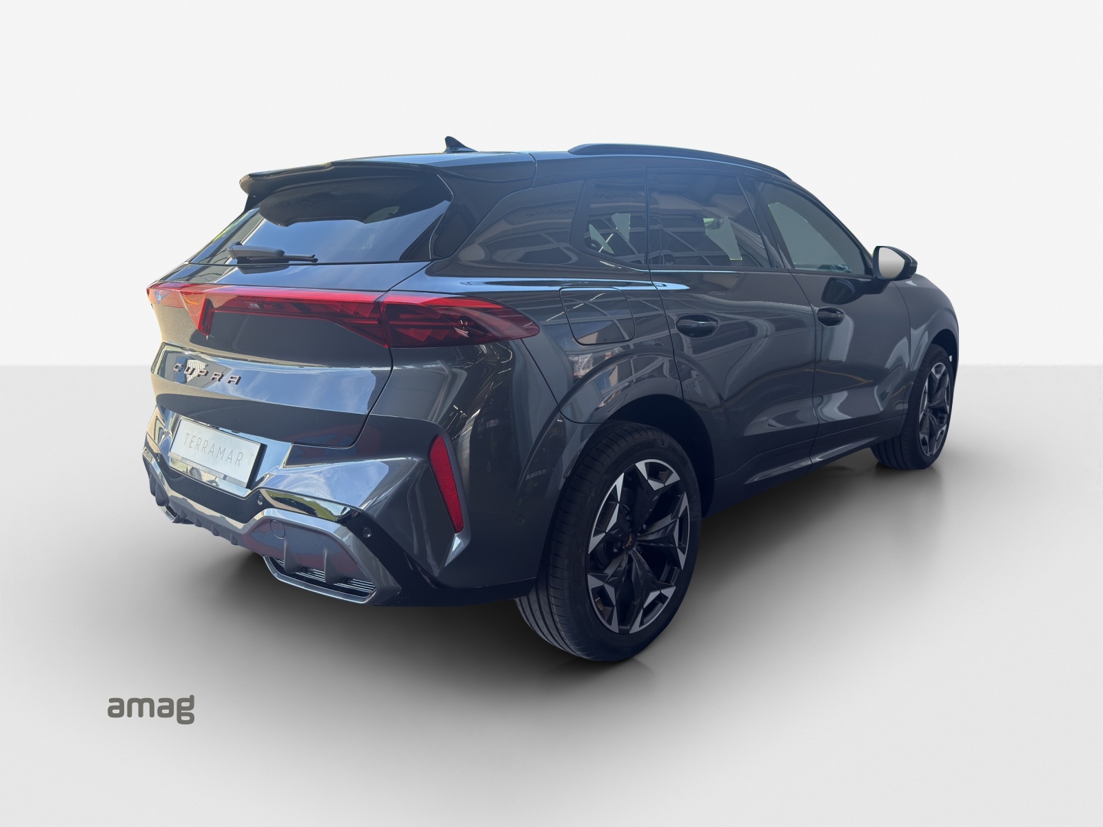CUPRA Terramar 2.0 TSI DSG 4Drive VZ-image-4