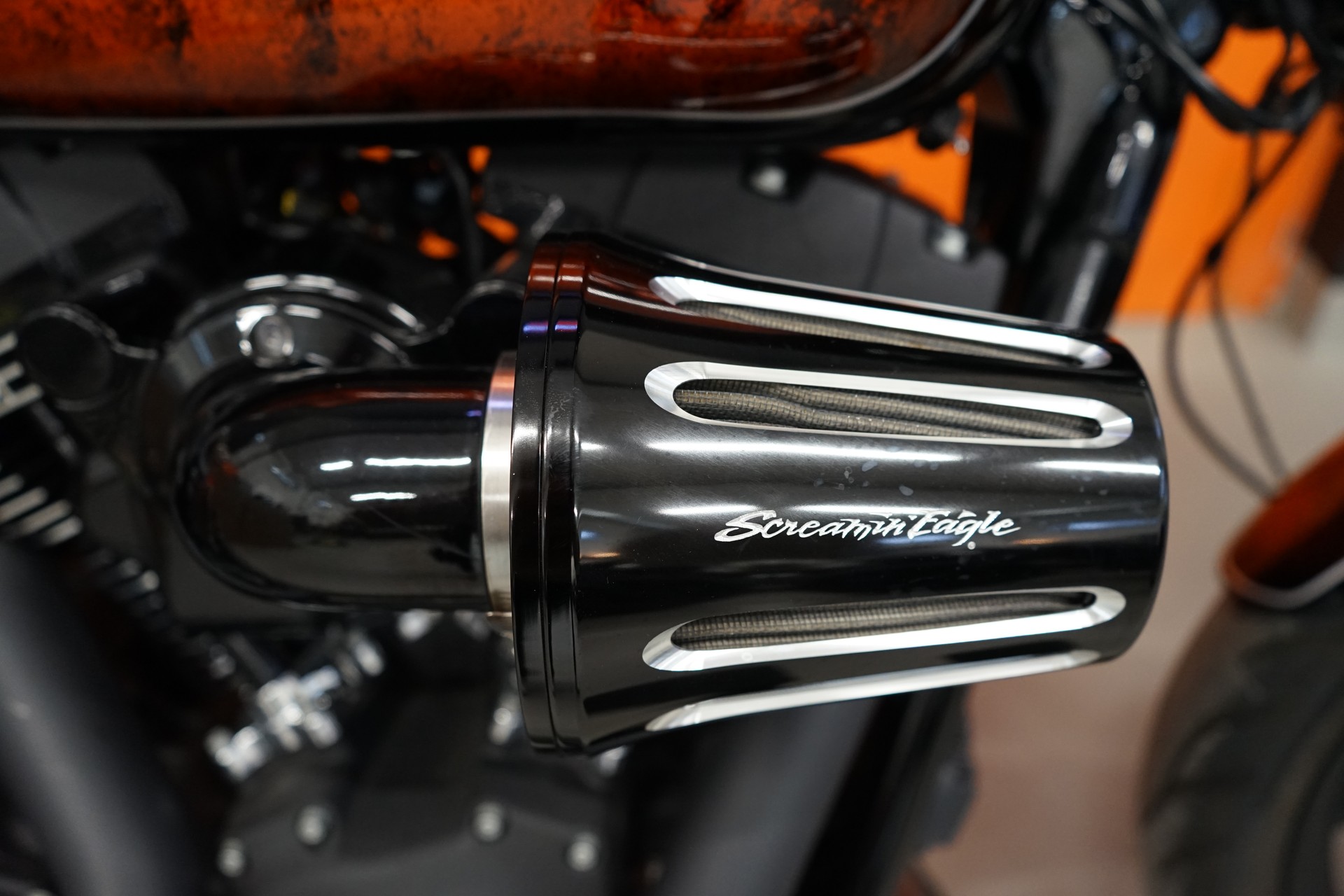 HARLEY-DAVIDSON FXDLS Dyna Low Rider S-image-6