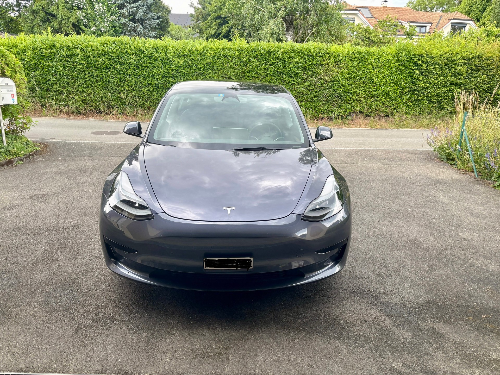 TESLA Standart Range Plus RWD-image-7