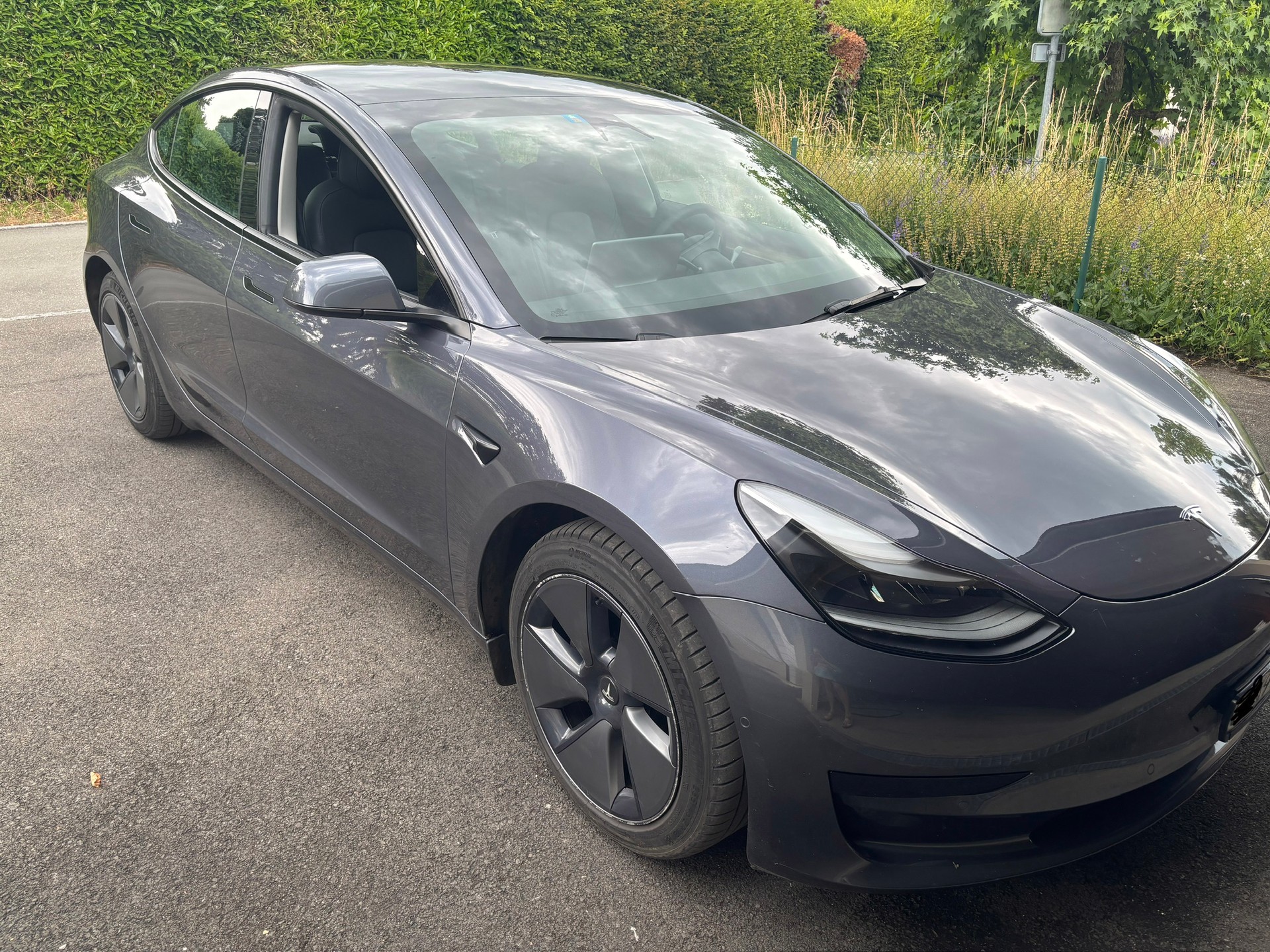 TESLA Standart Range Plus RWD-image-5