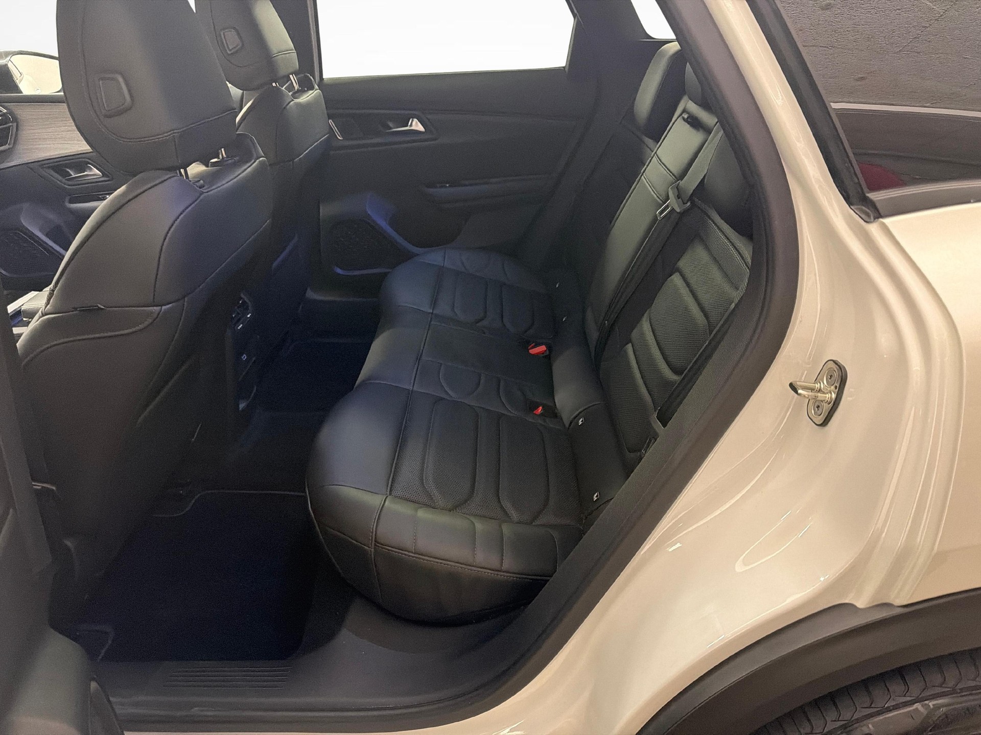 CITROEN C5 X 1.6 PureTech Shine-image-10