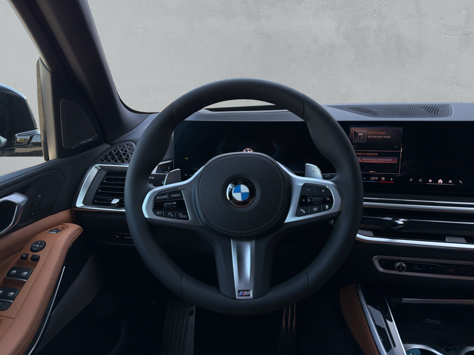 BMW X5 xDrive 48V 30d M Sport Steptronic-image-20