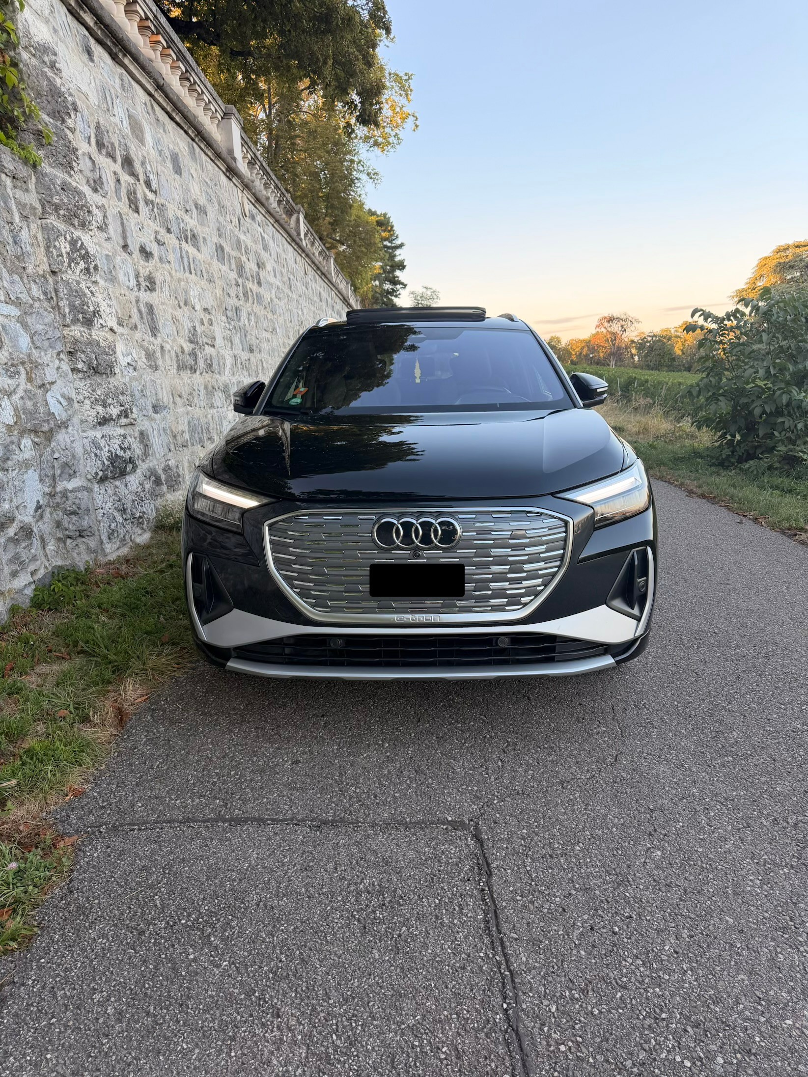 AUDI Q4 e-tron 40-image-1