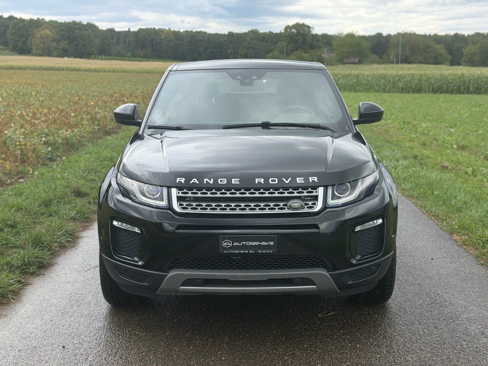 LAND ROVER Range Rover Evoque 2.0 TD4 SE-image-2