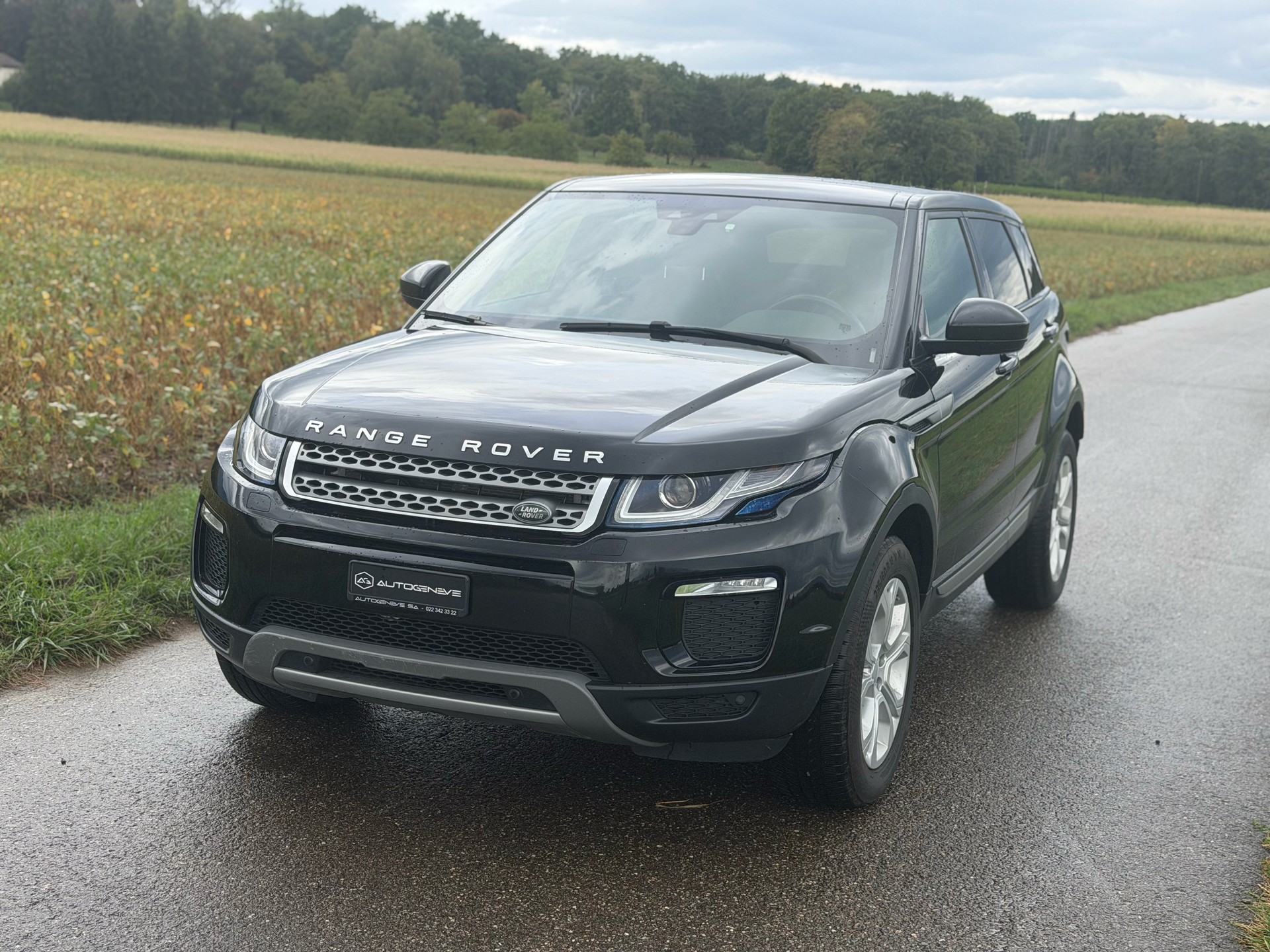 LAND ROVER Range Rover Evoque 2.0 TD4 SE-image-0