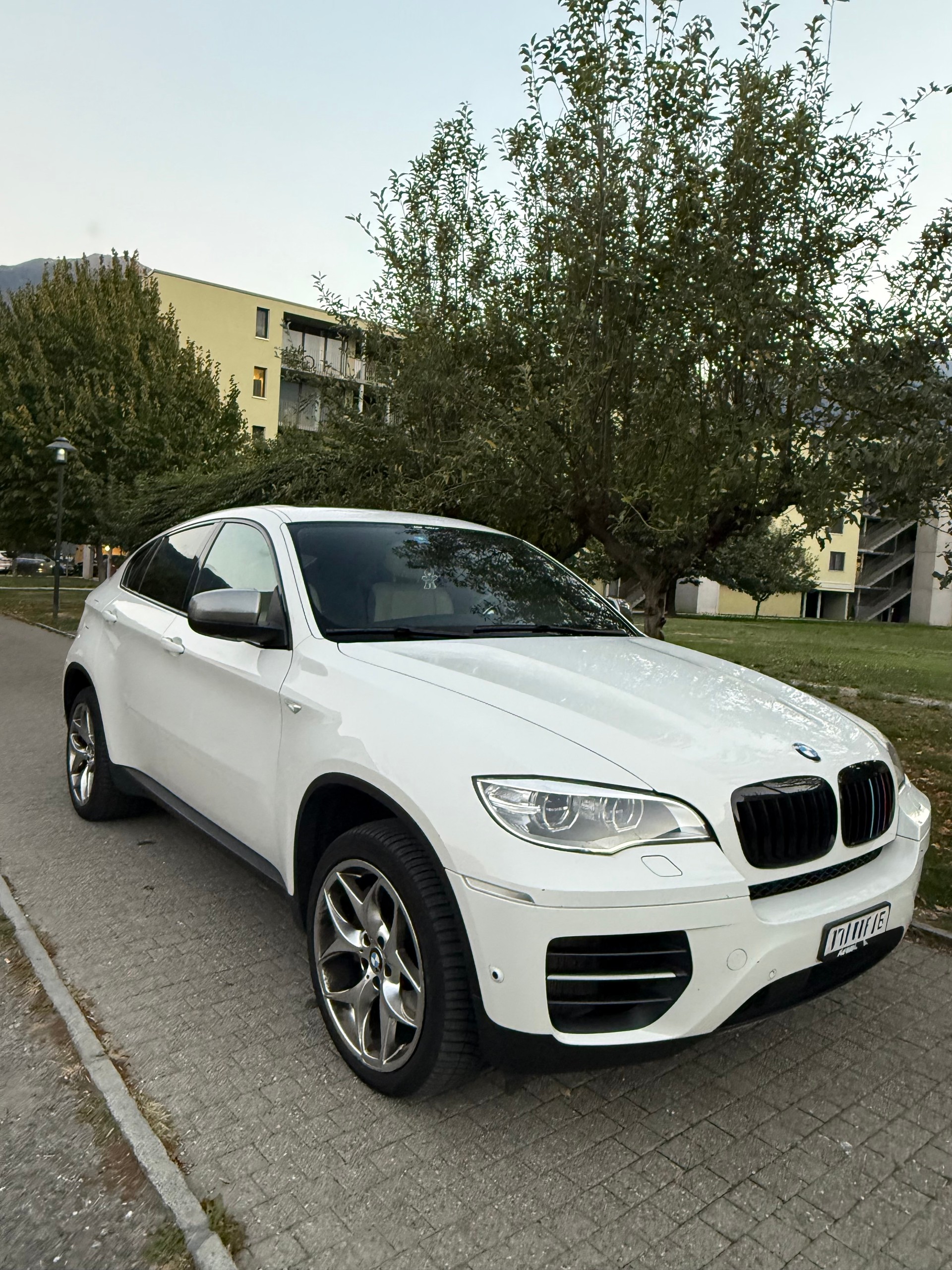 BMW X6 M50d Steptronic-image-1
